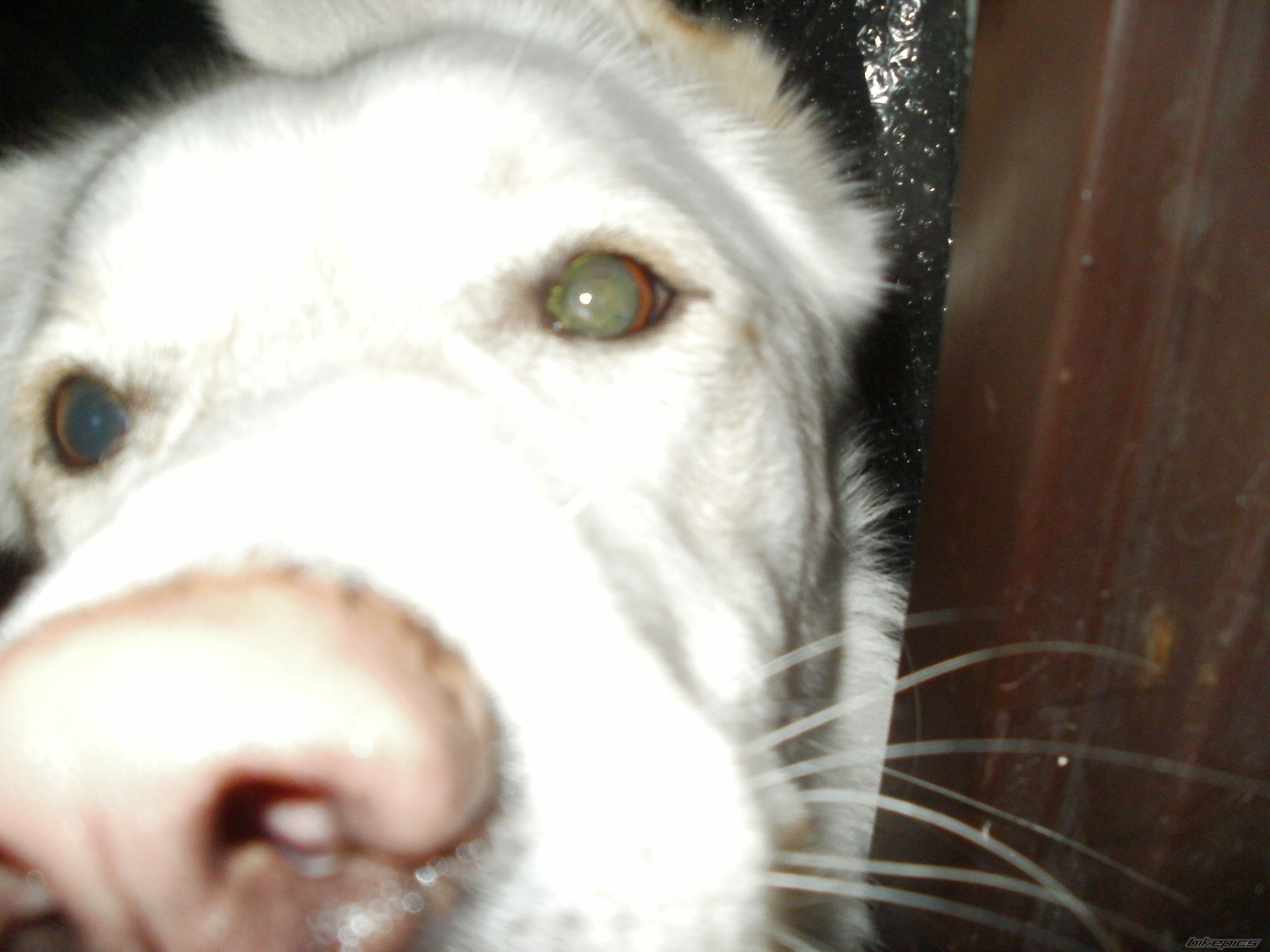 Photo 2618644