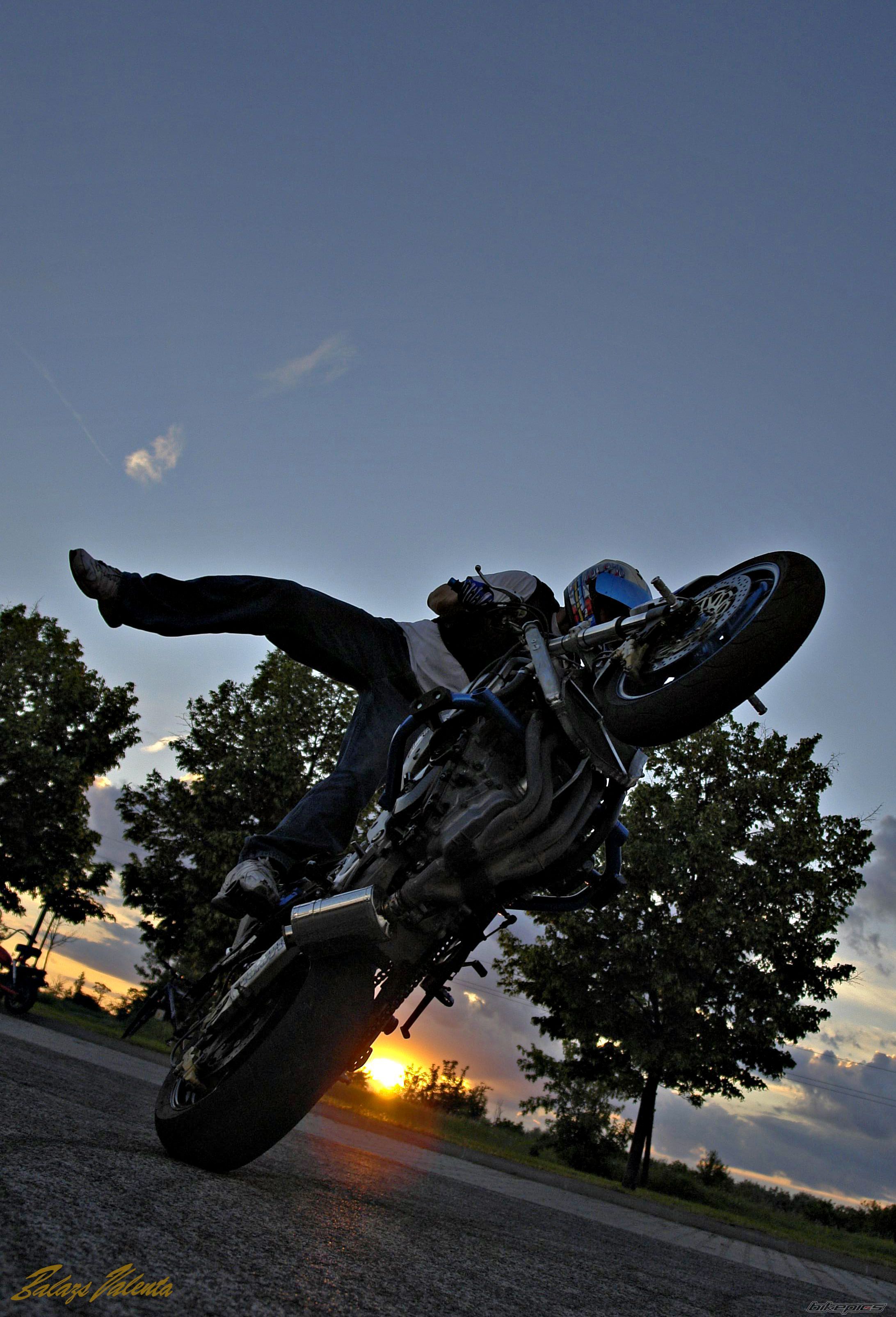 Photo 2618722