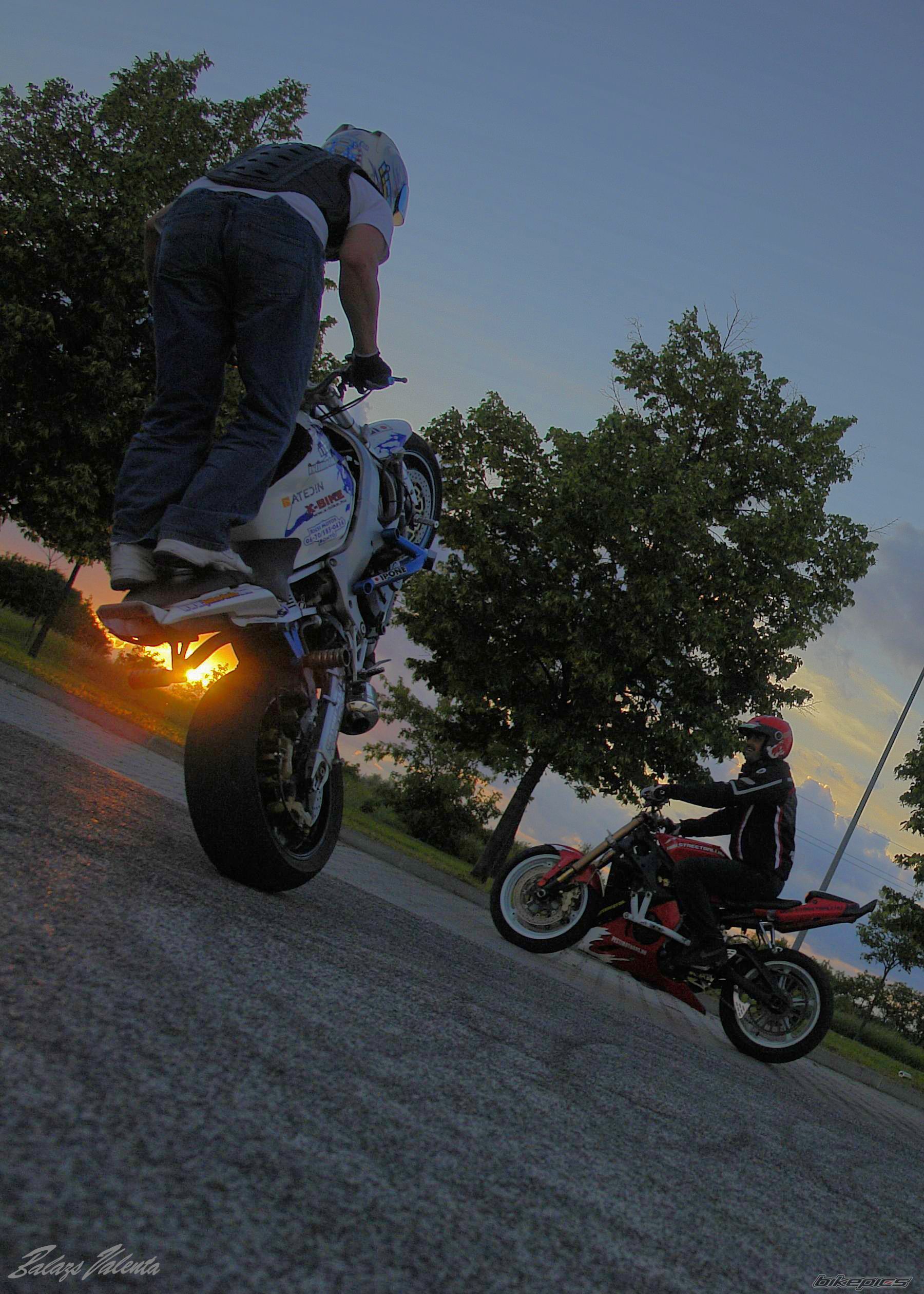 Photo 2618723