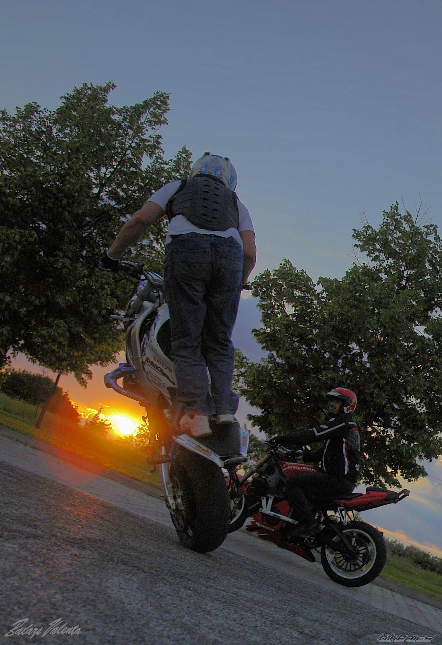 Photo 2618724