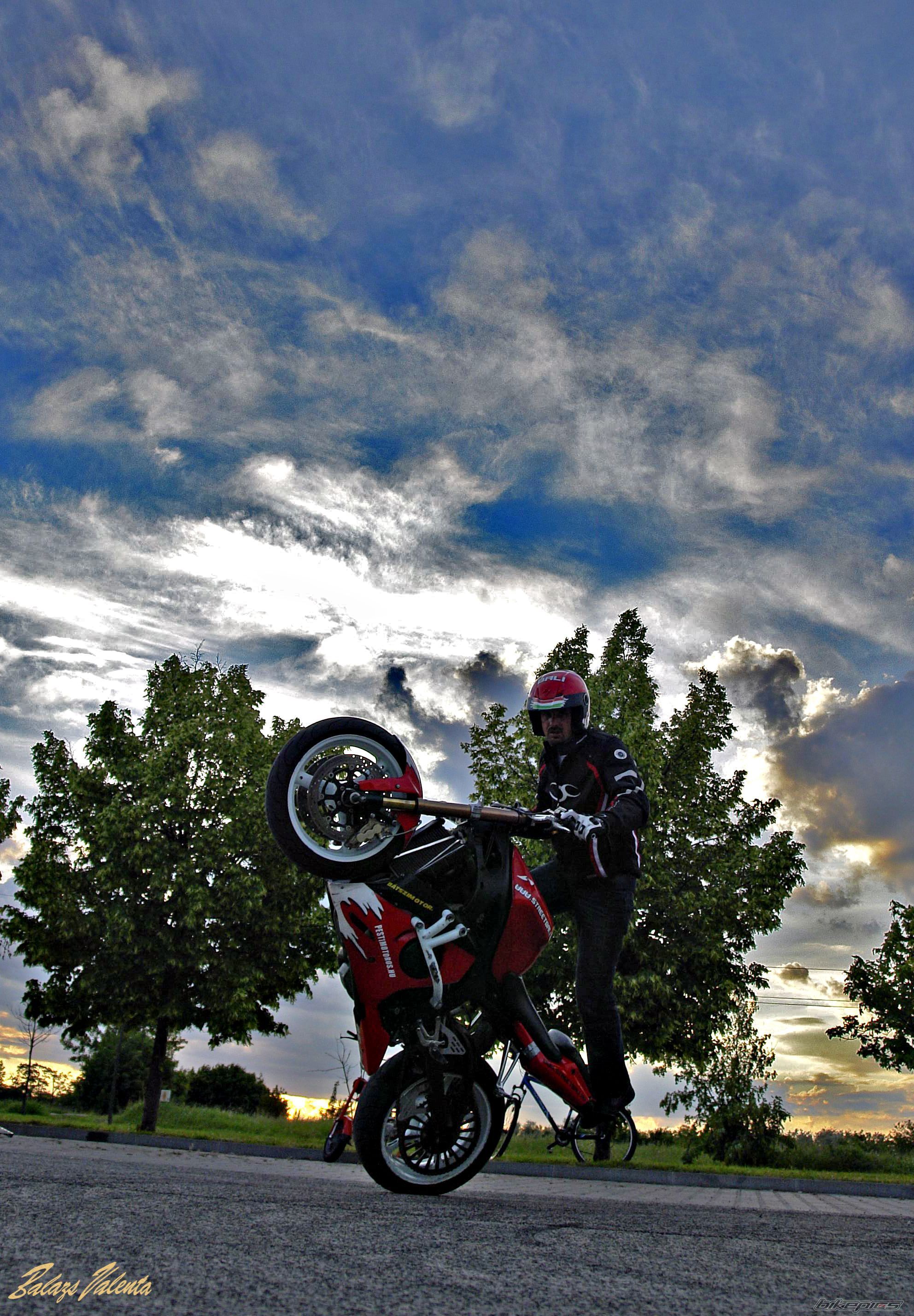 Photo 2618728