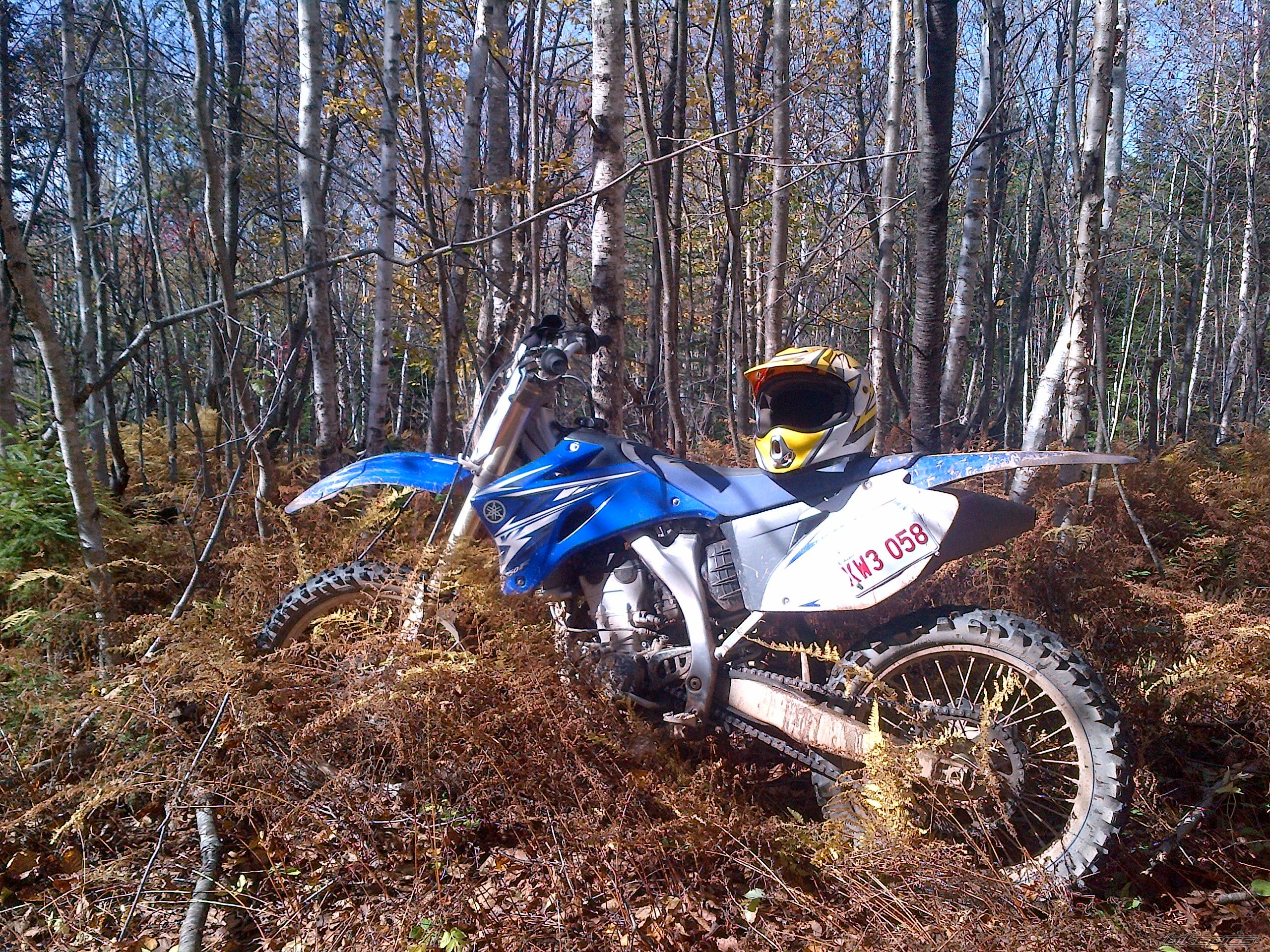 Photo 2618738
