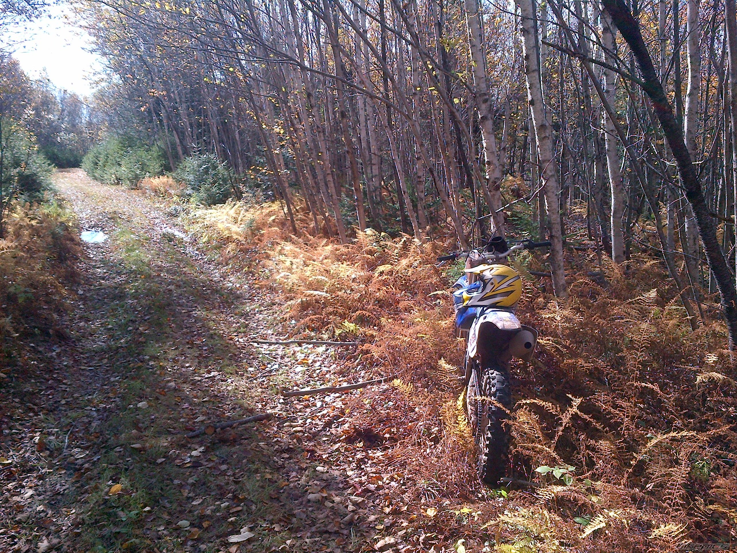 Photo 2618739
