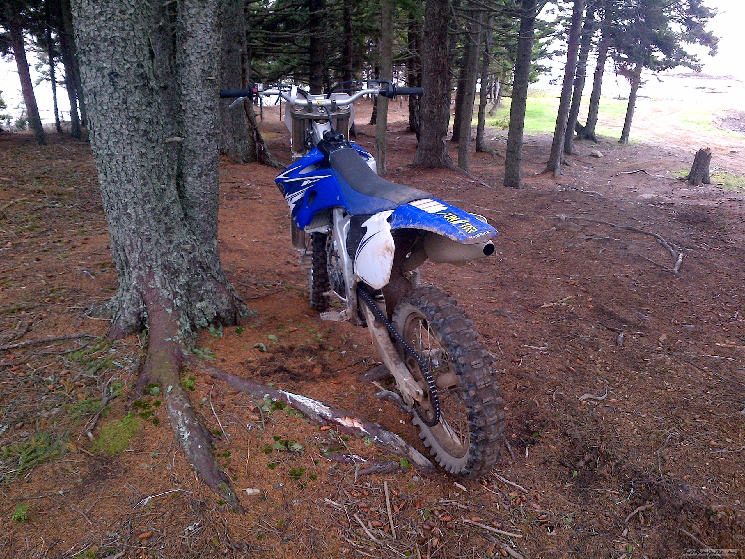 Photo 2618741