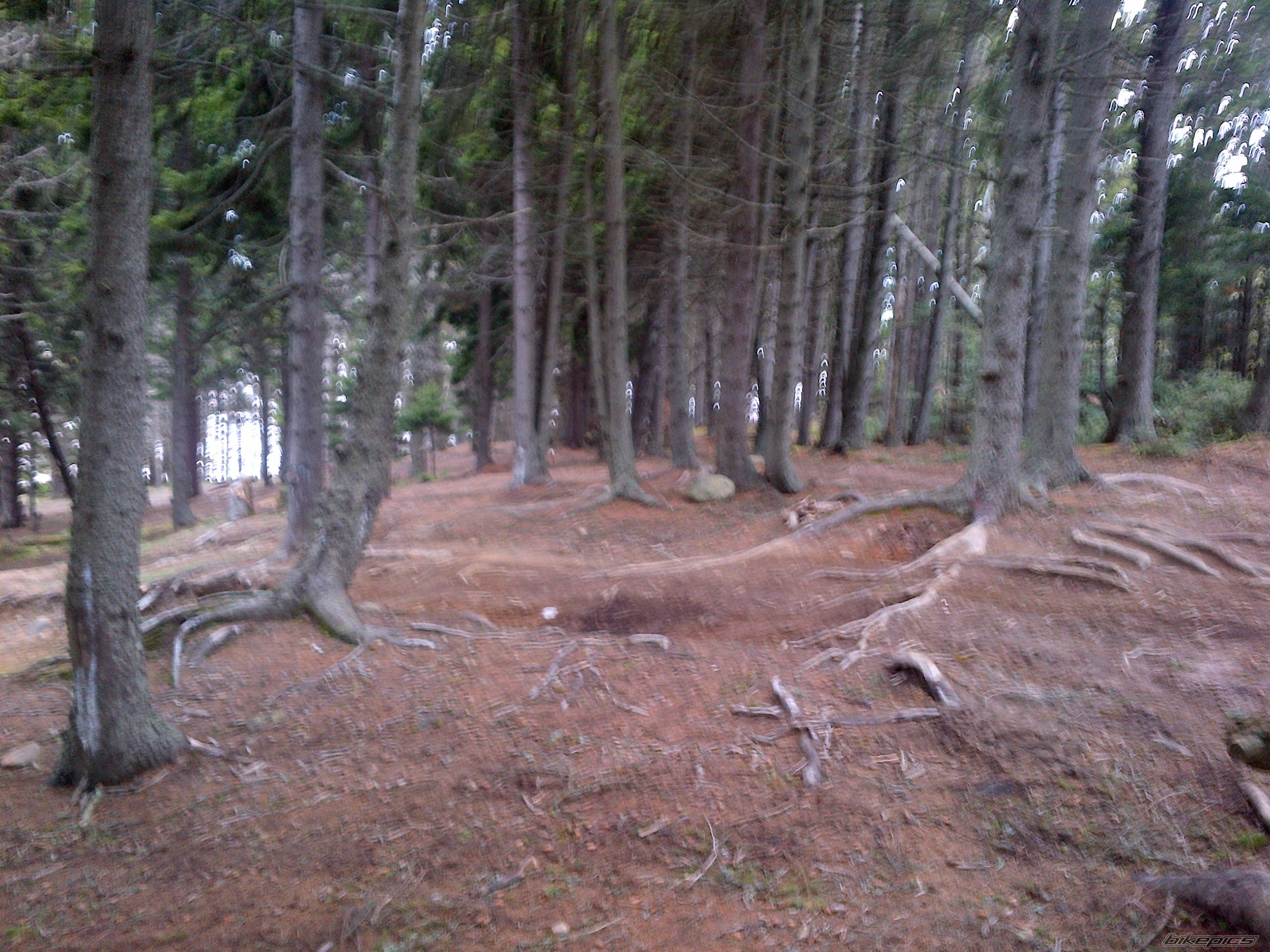 Photo 2618742