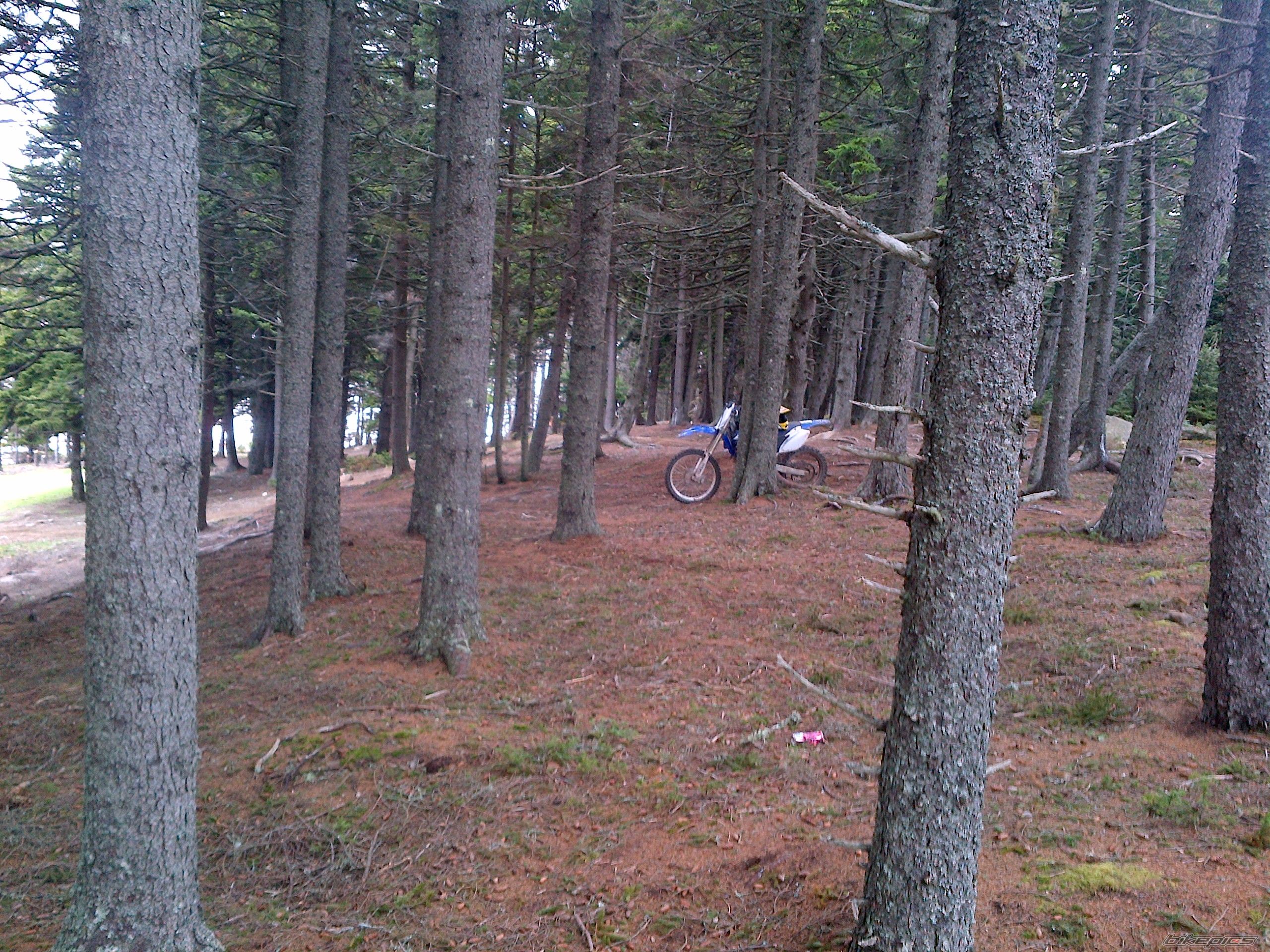 Photo 2618744