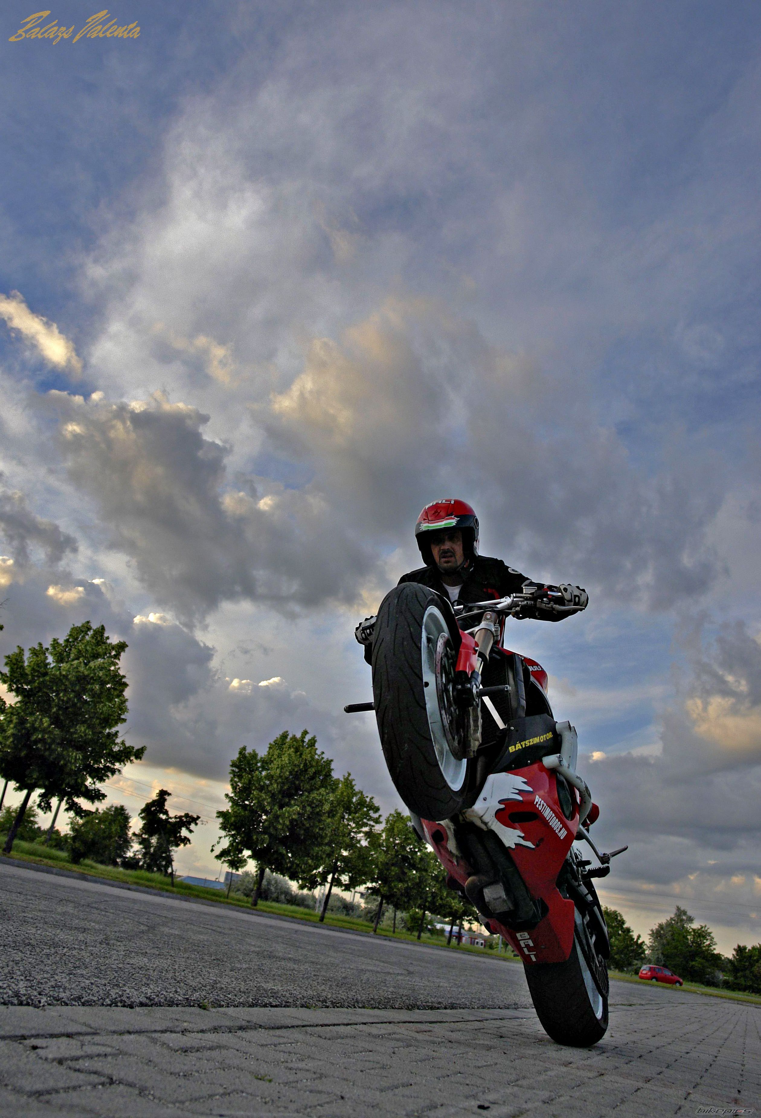 Photo 2618747