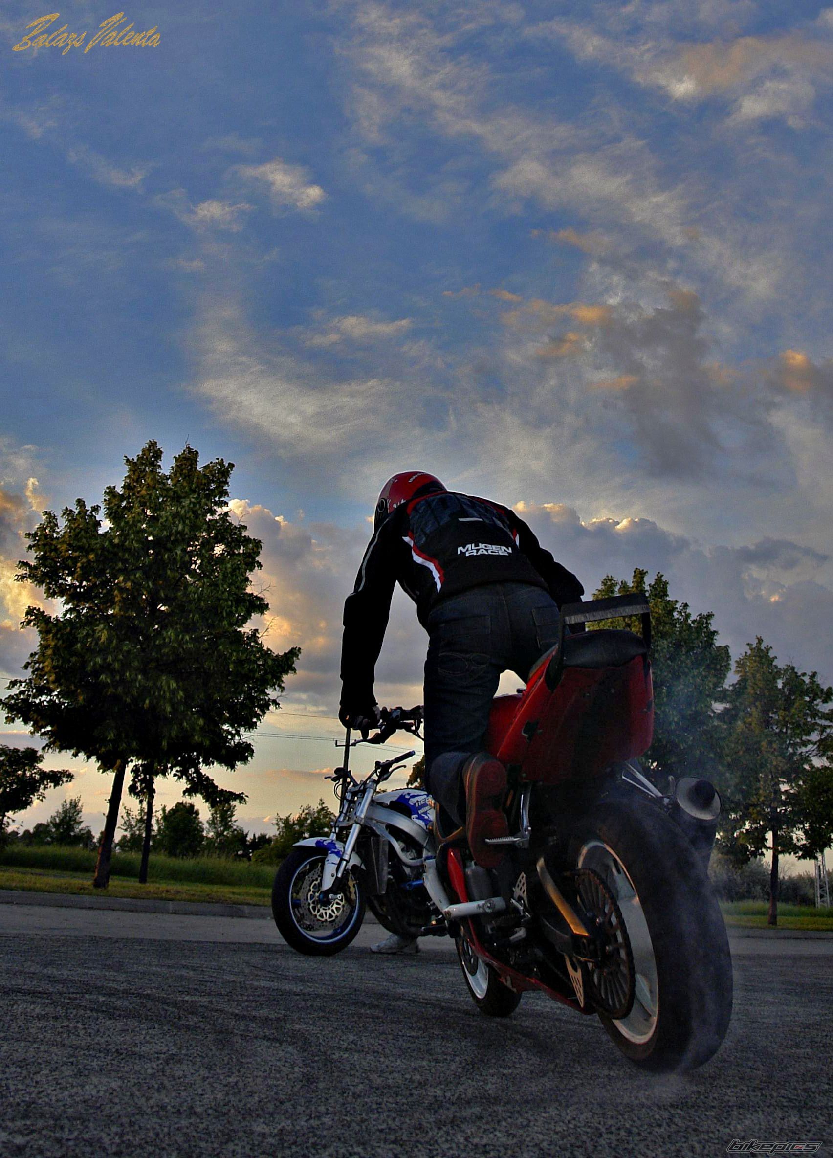 Photo 2618755