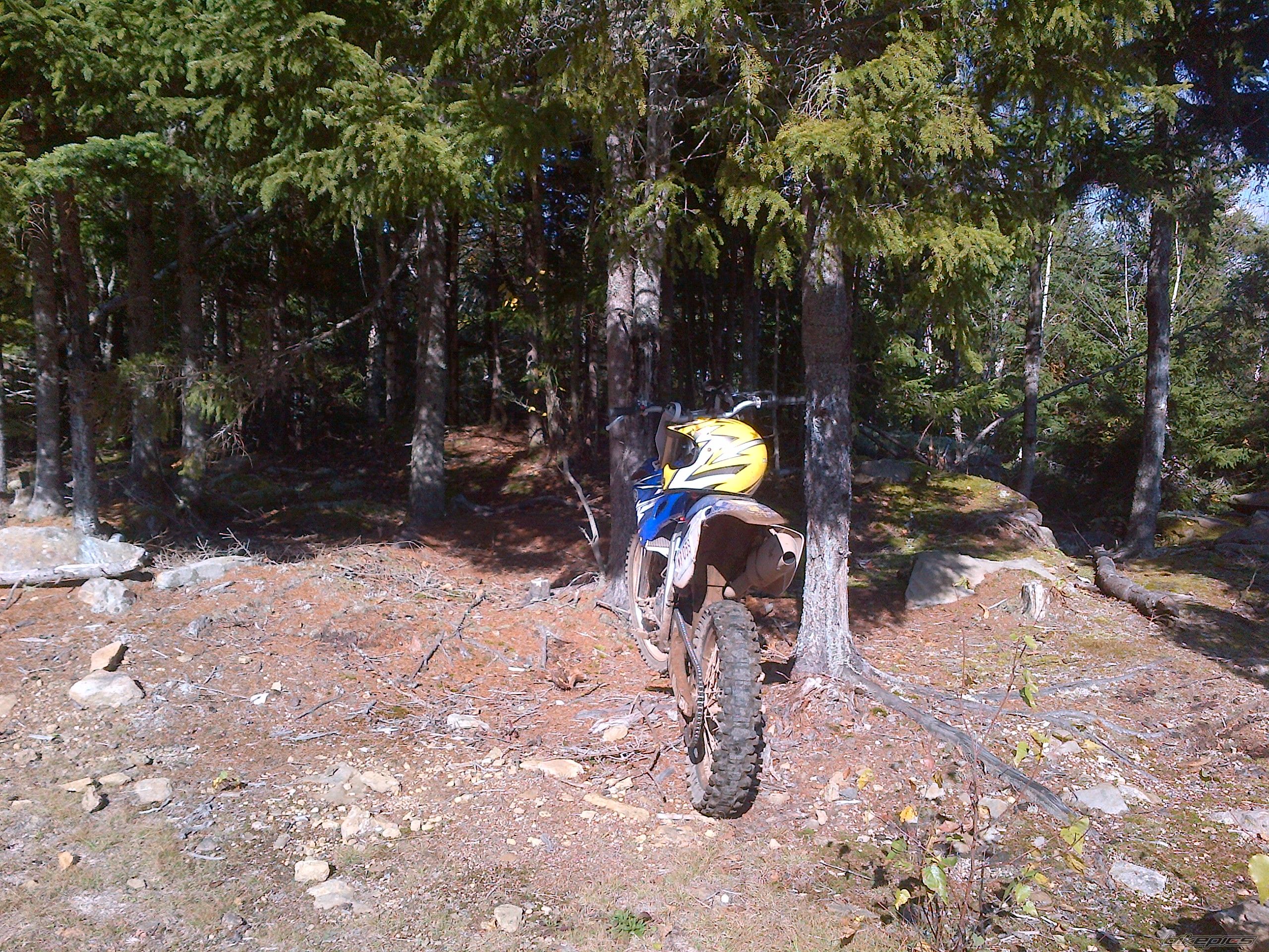 Photo 2618760