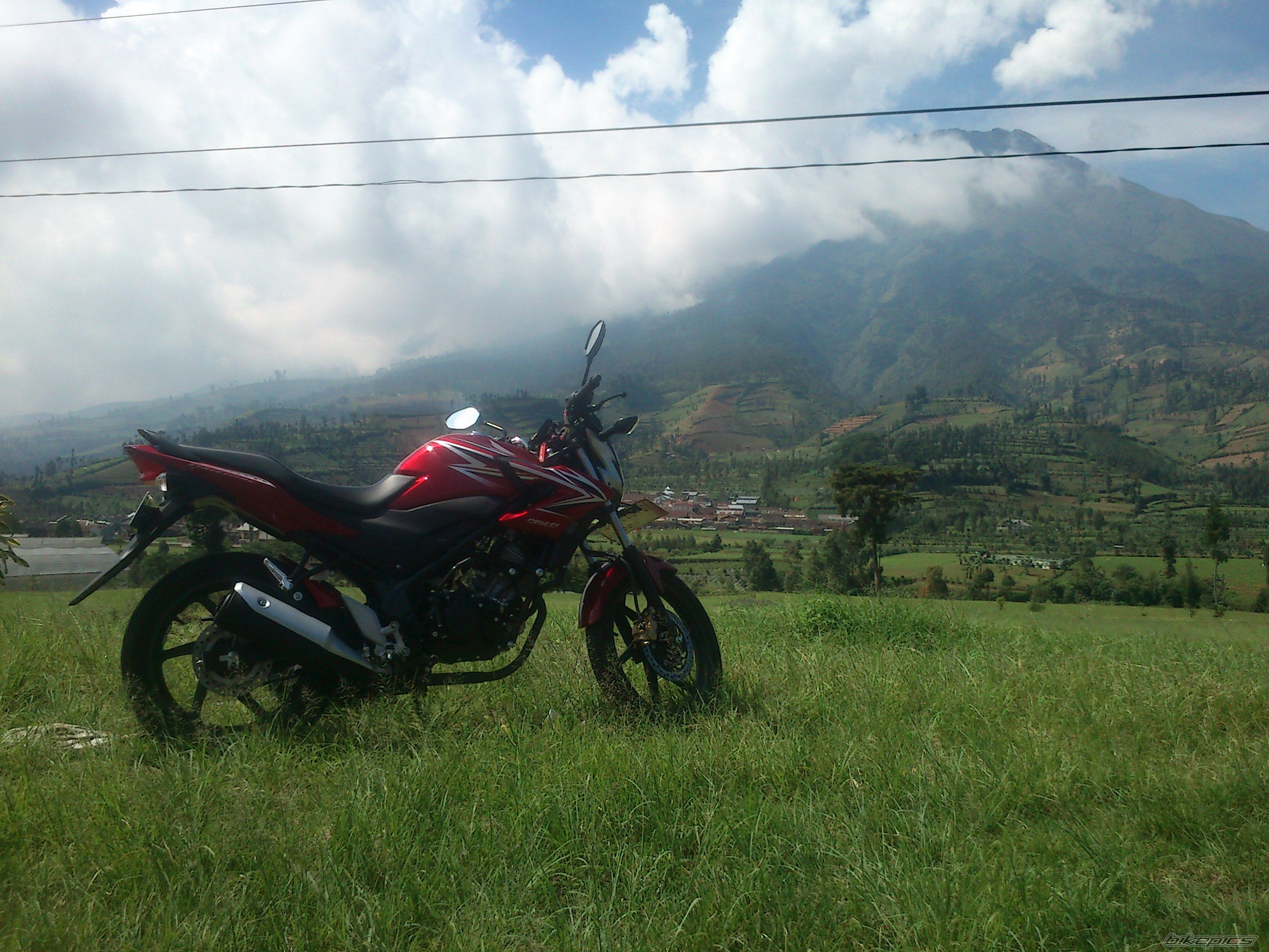 Photo 2618776