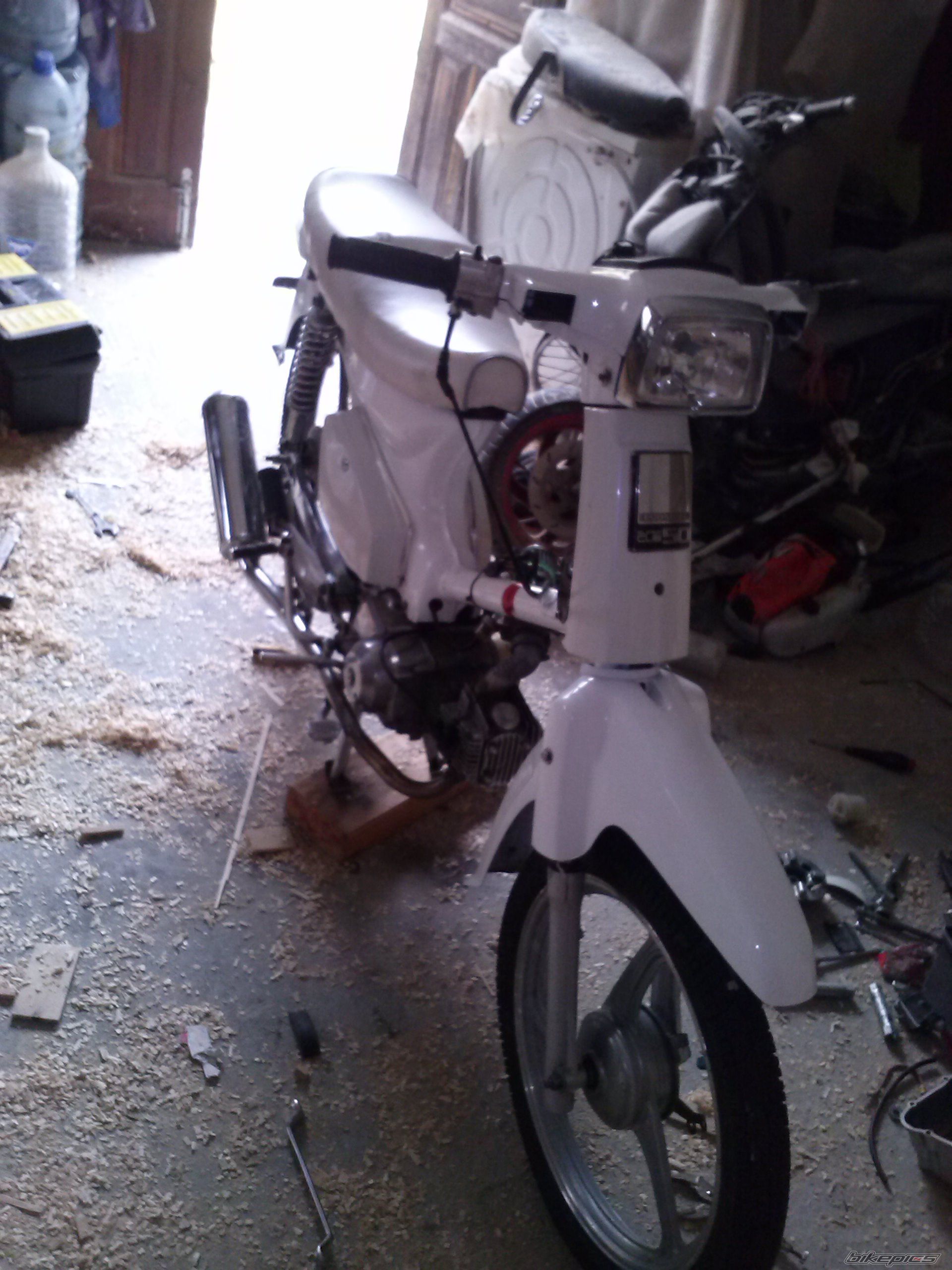 Photo 2618783
