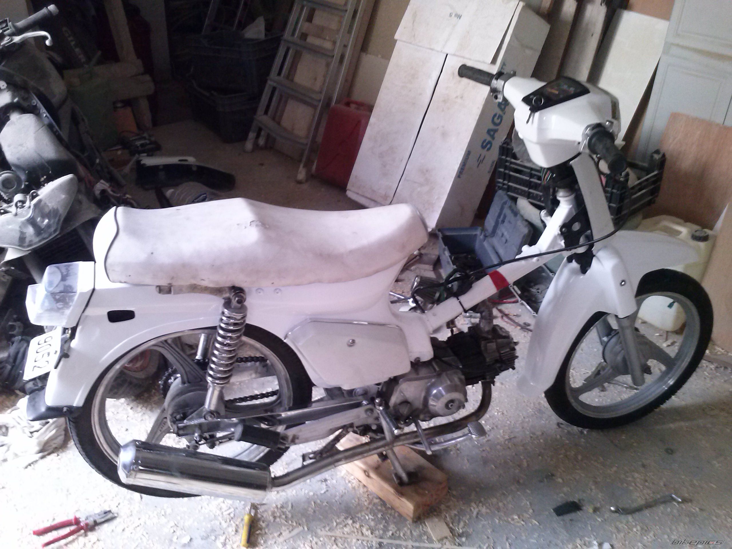 Photo 2618784