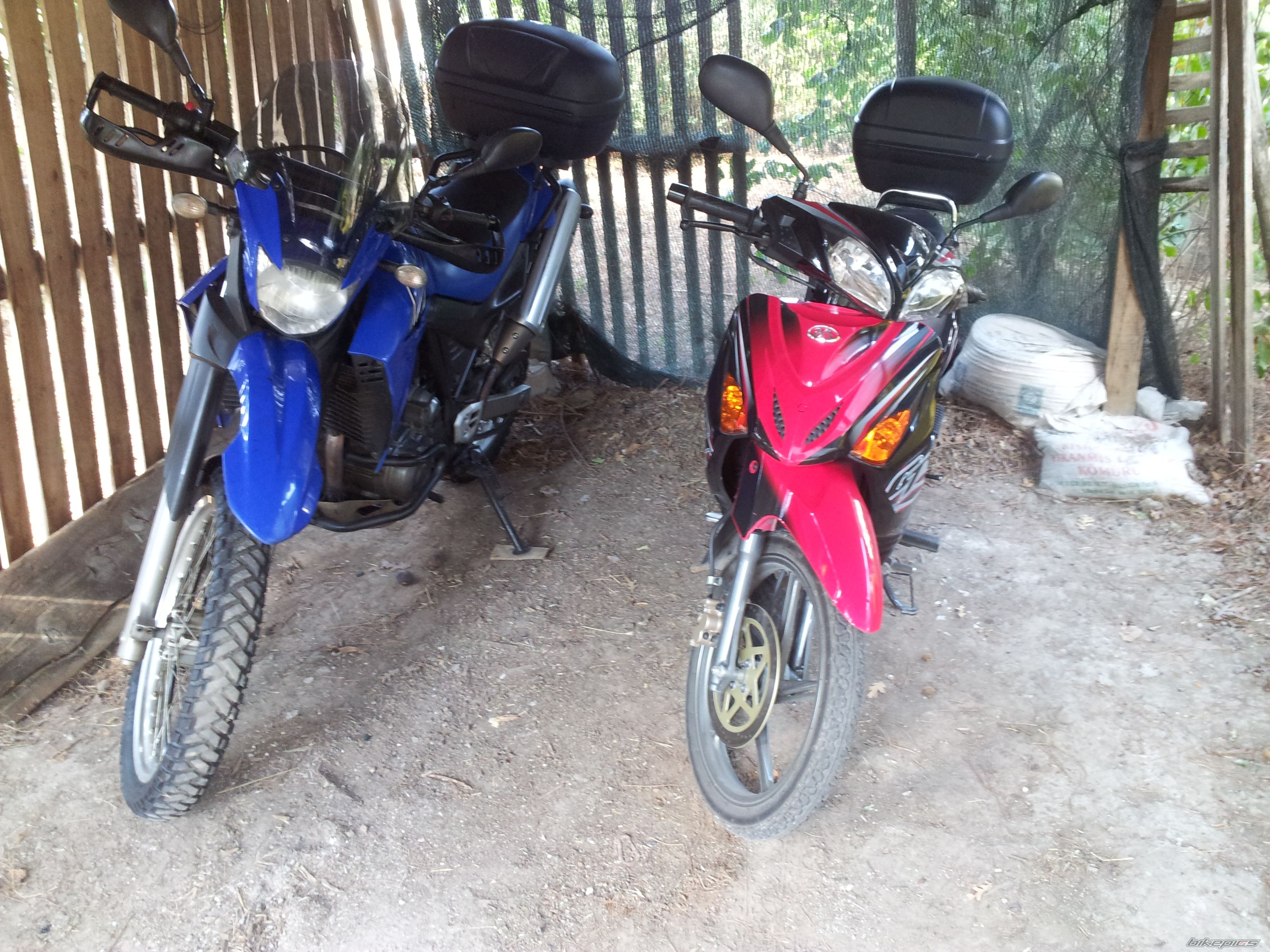 Photo 2618789