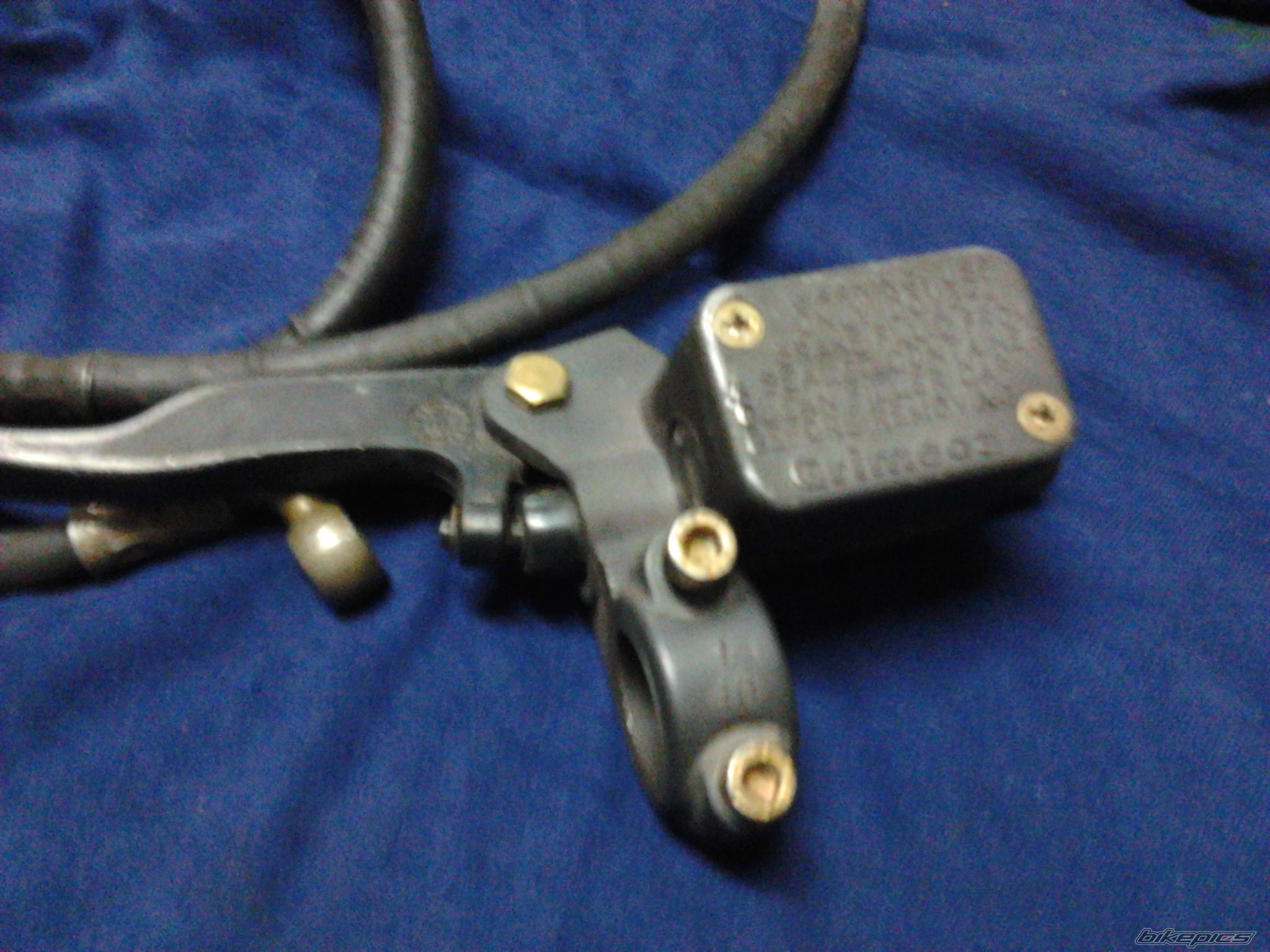 Photo 2618879