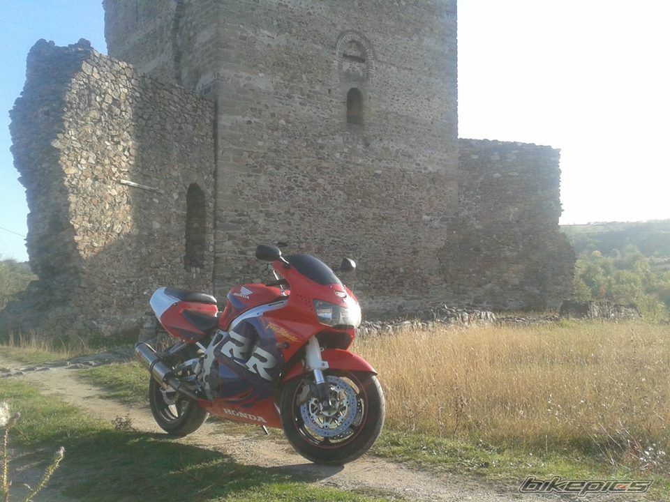 Photo 2618910