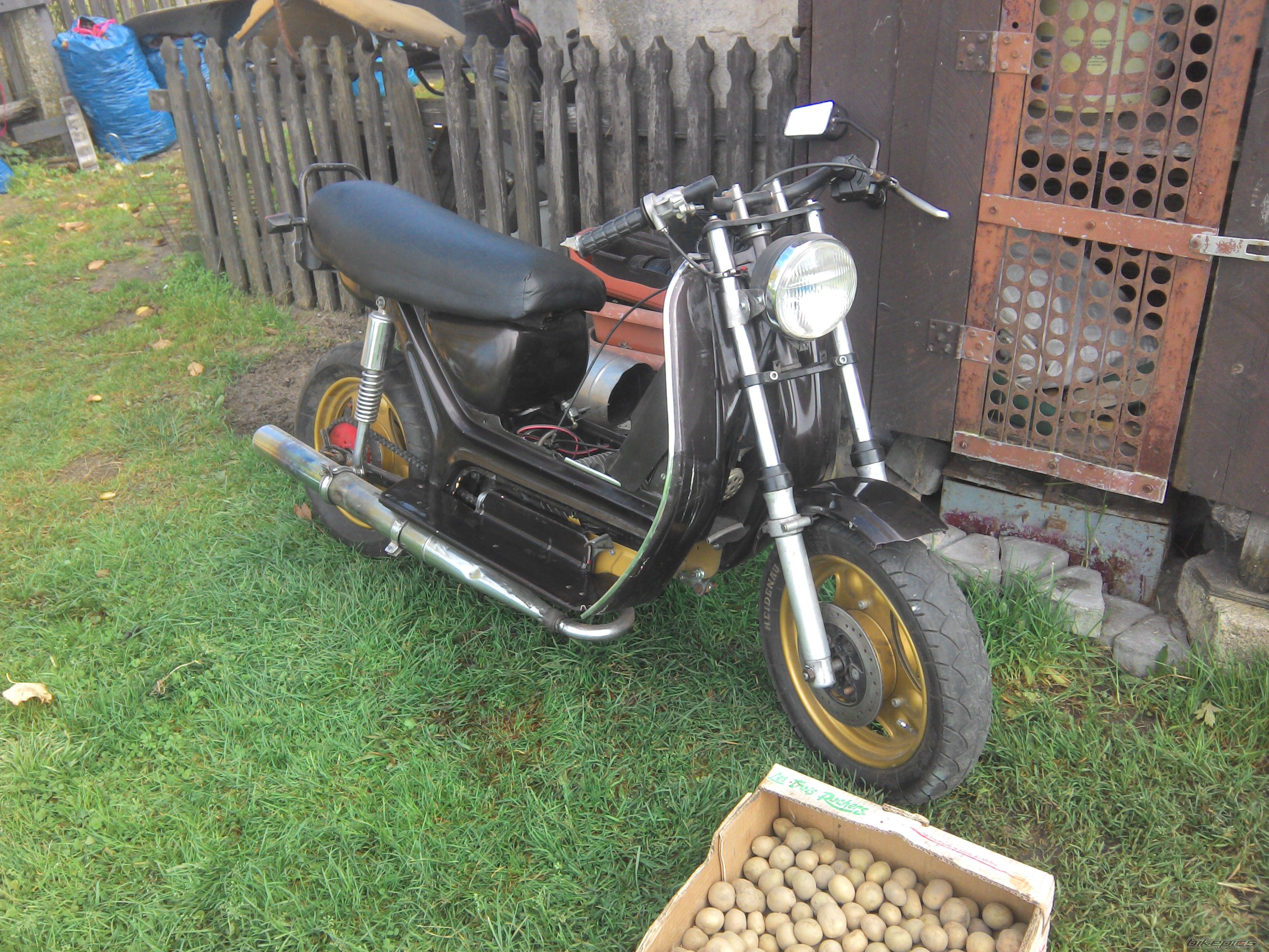 Photo 2618921