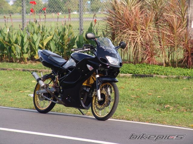 Photo 2618953