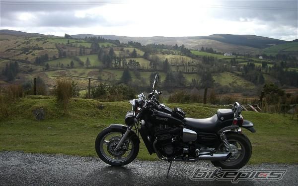 Photo 2618955