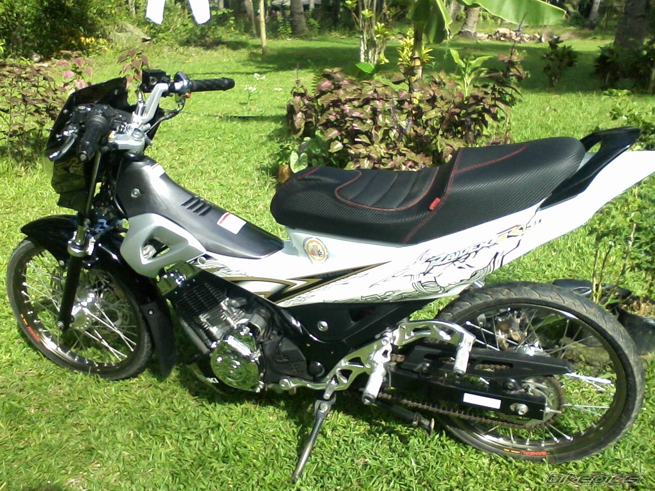 Photo 2618978