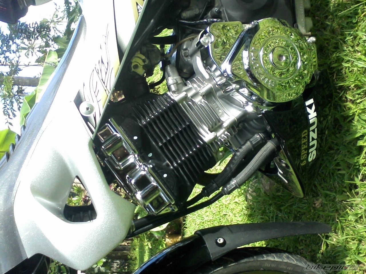 Photo 2618979