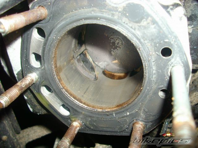 Photo 2618991