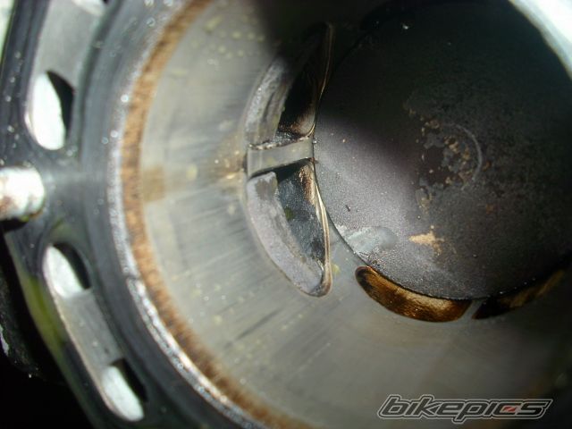 Photo 2618993