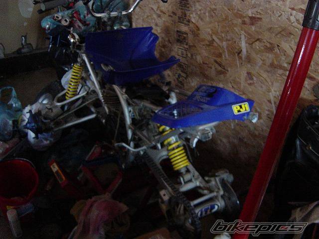 Photo 261915