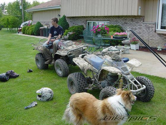 Photo 261916