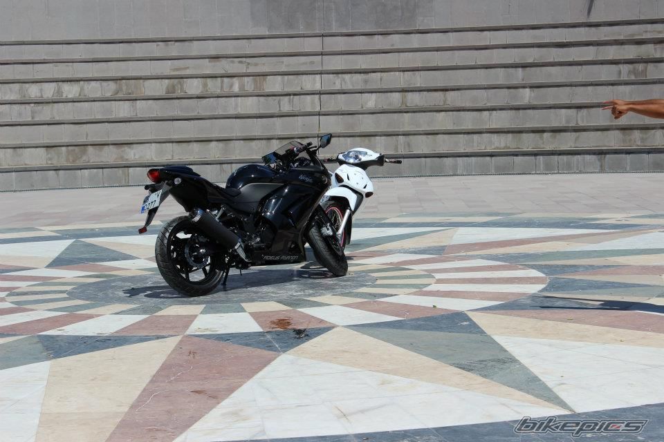 Photo 2619287