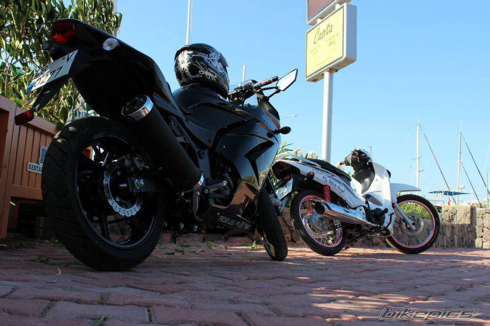 Photo 2619290