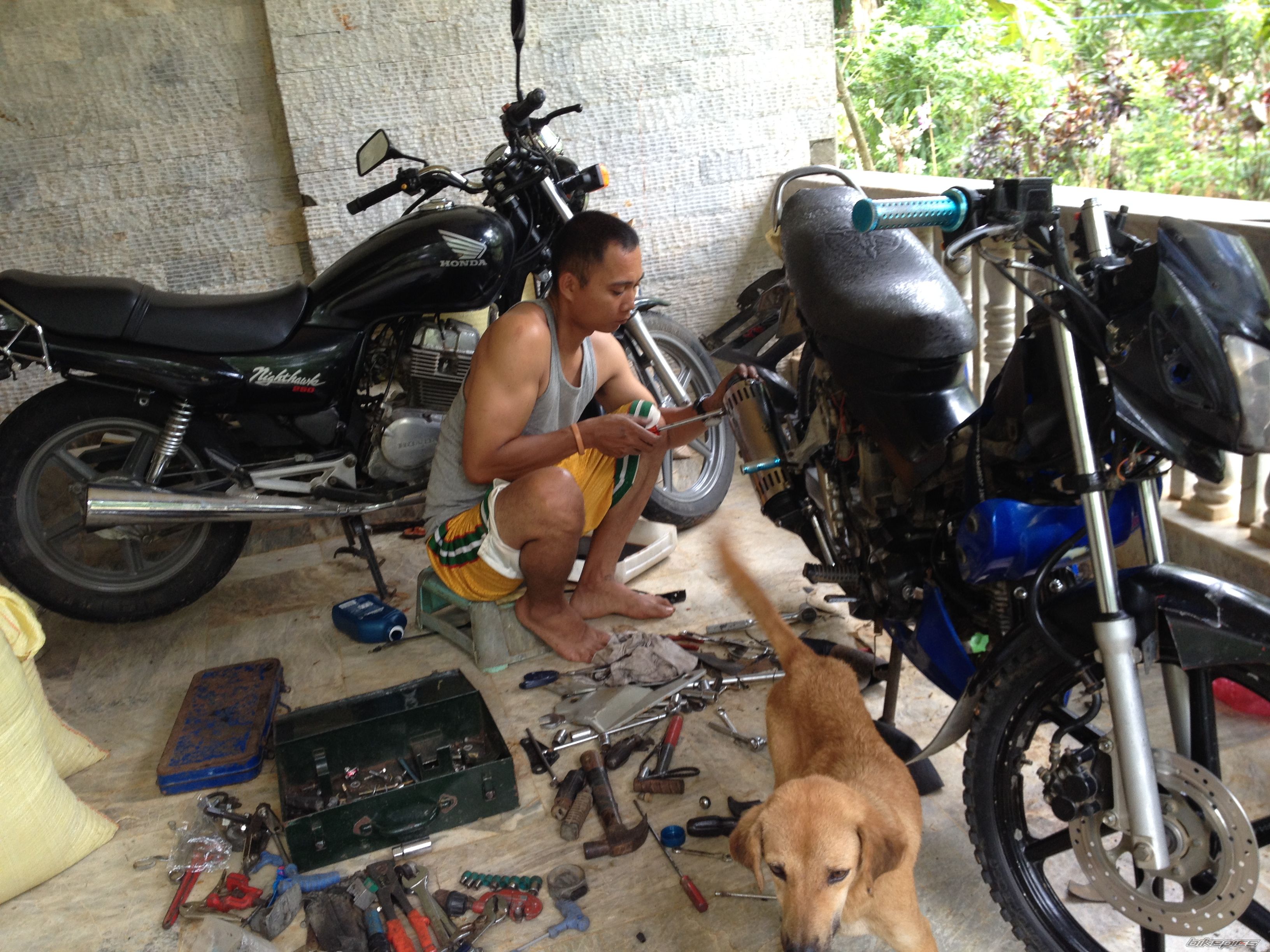 Photo 2619370