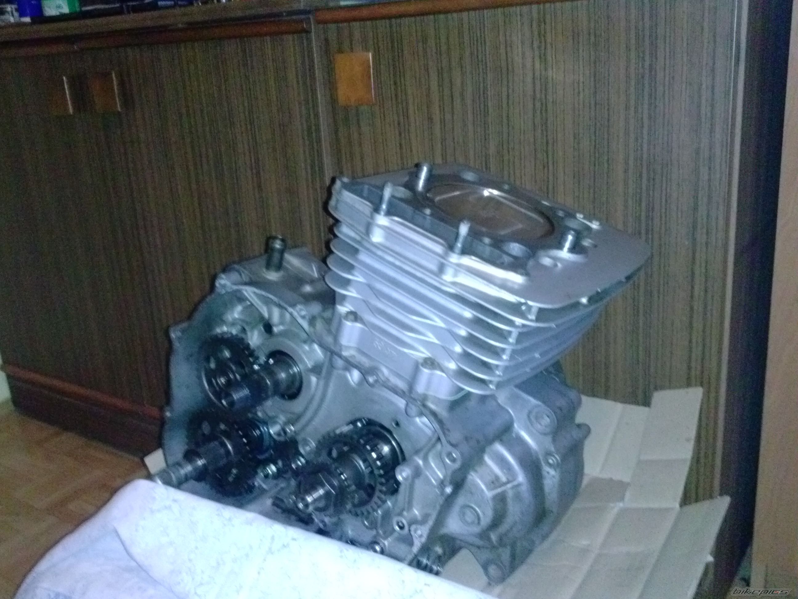 Photo 2619393