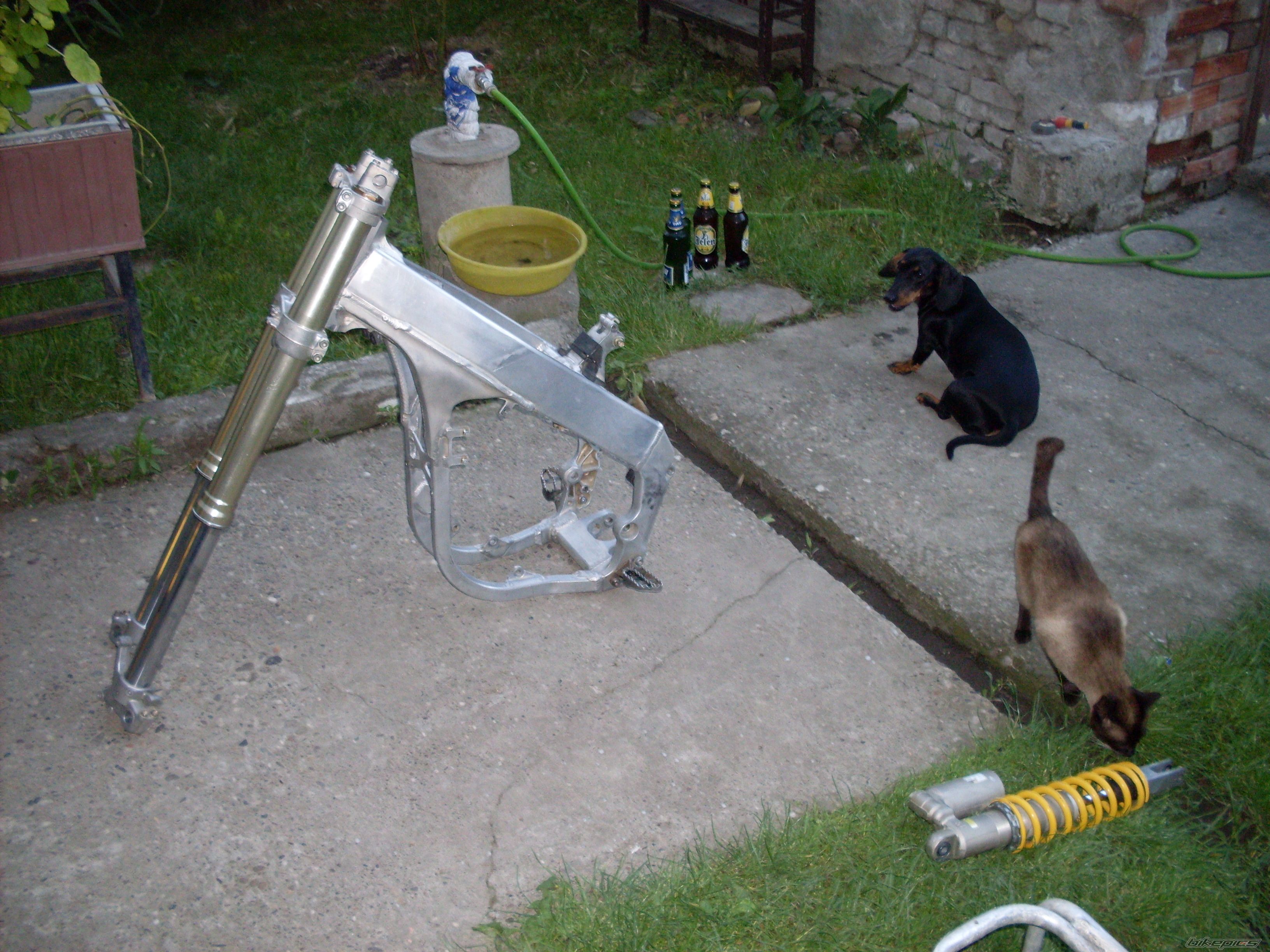 Photo 2619433
