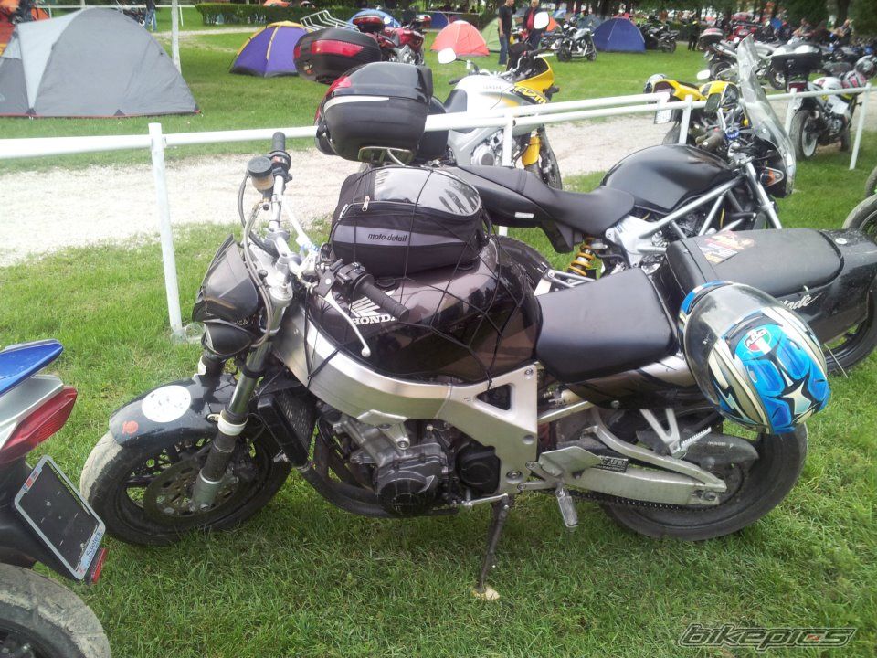 Photo 2619445