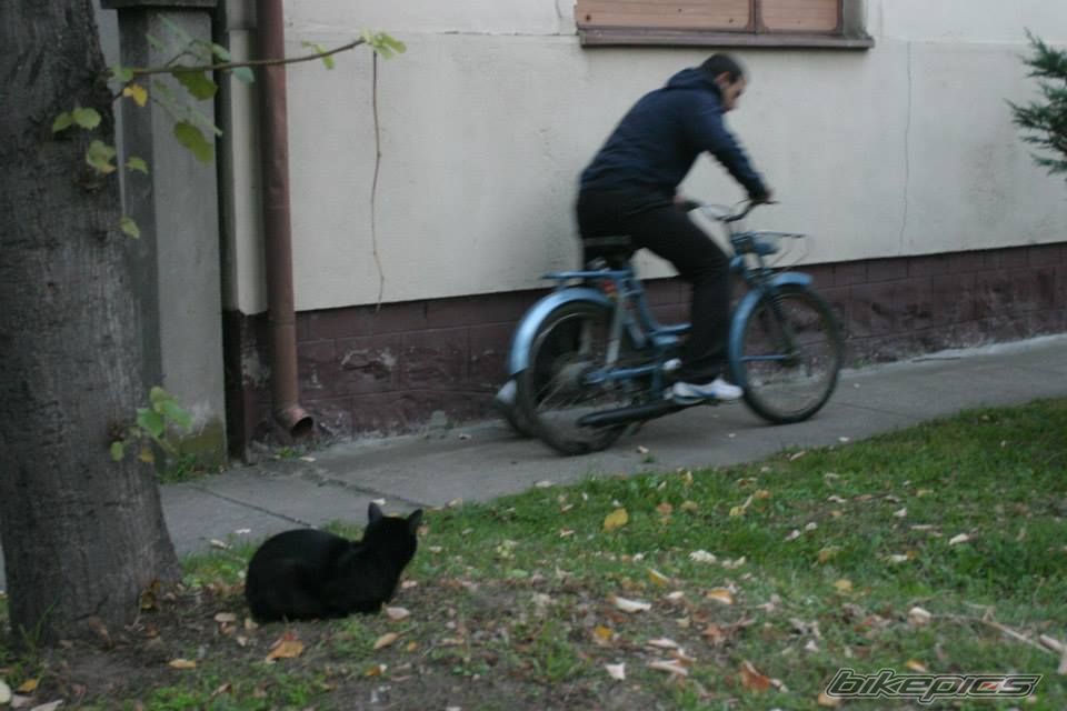 Bike Photo 2619458