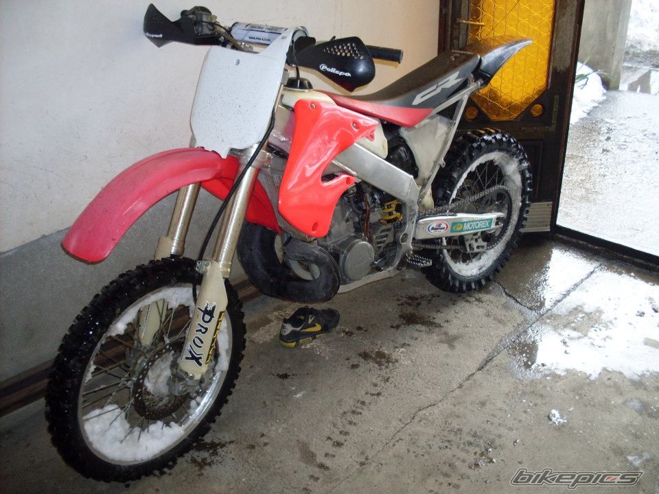 Photo 2619716