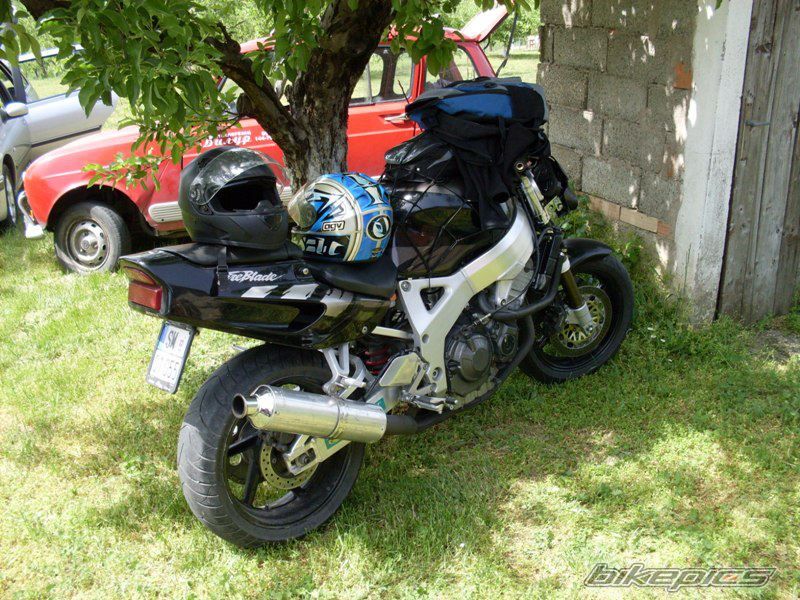 Photo 2619734