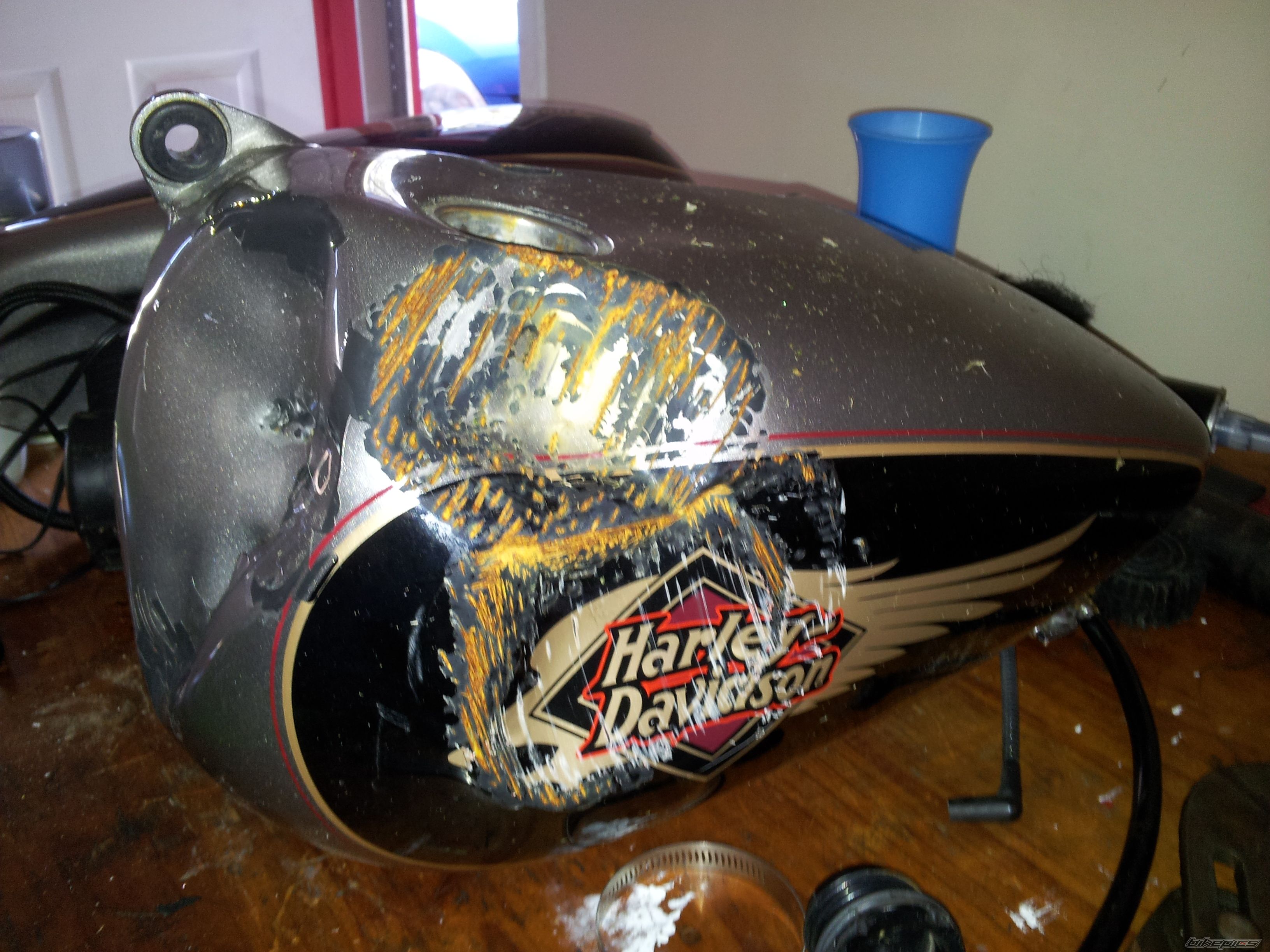 Photo 2619758