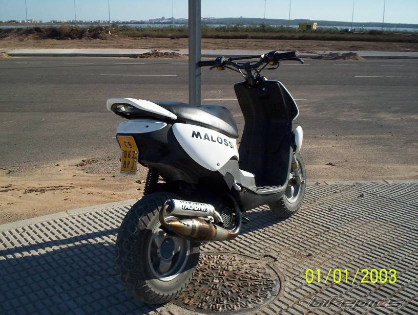 Photo 261977