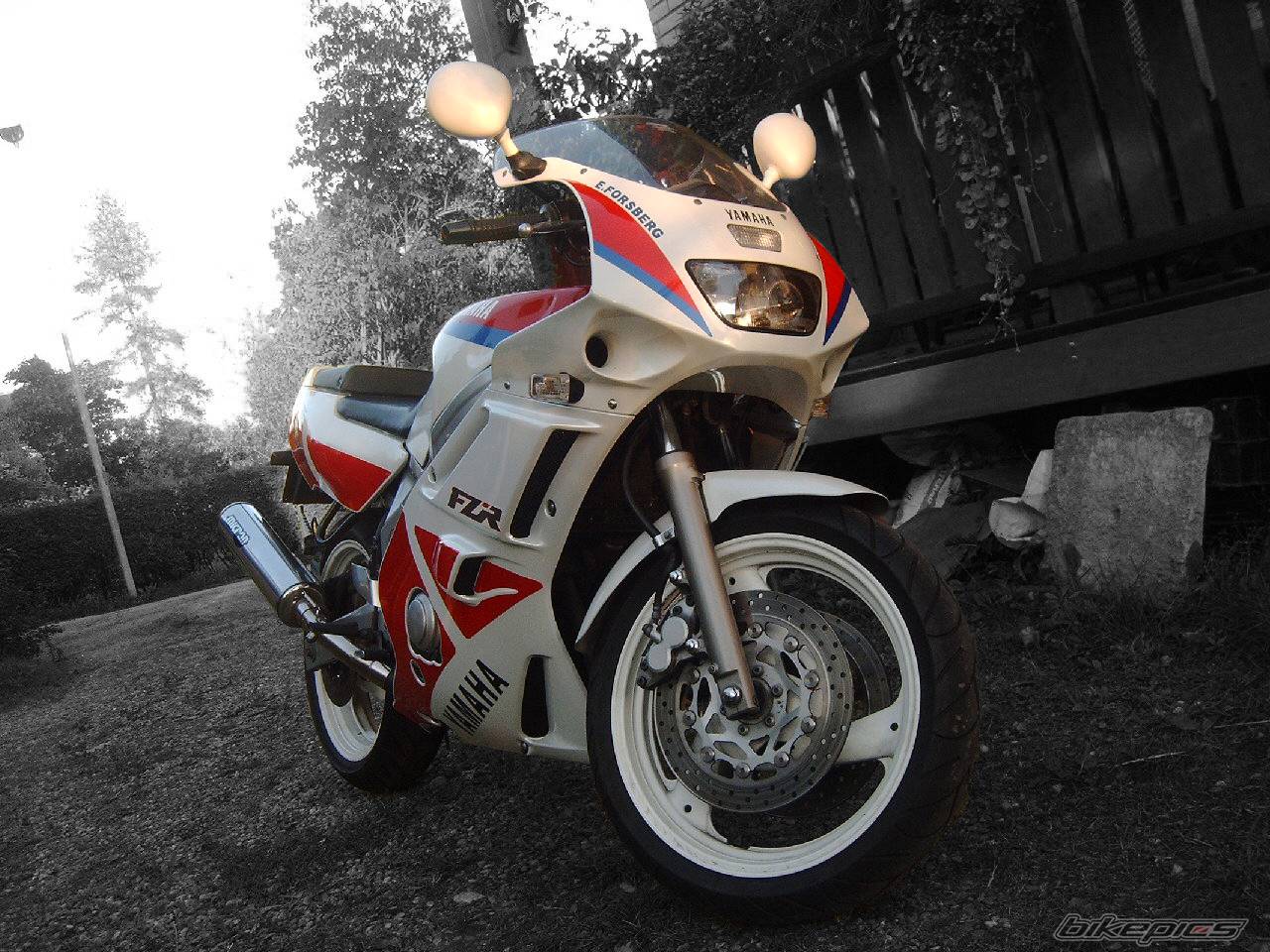 Bike Photo 261978