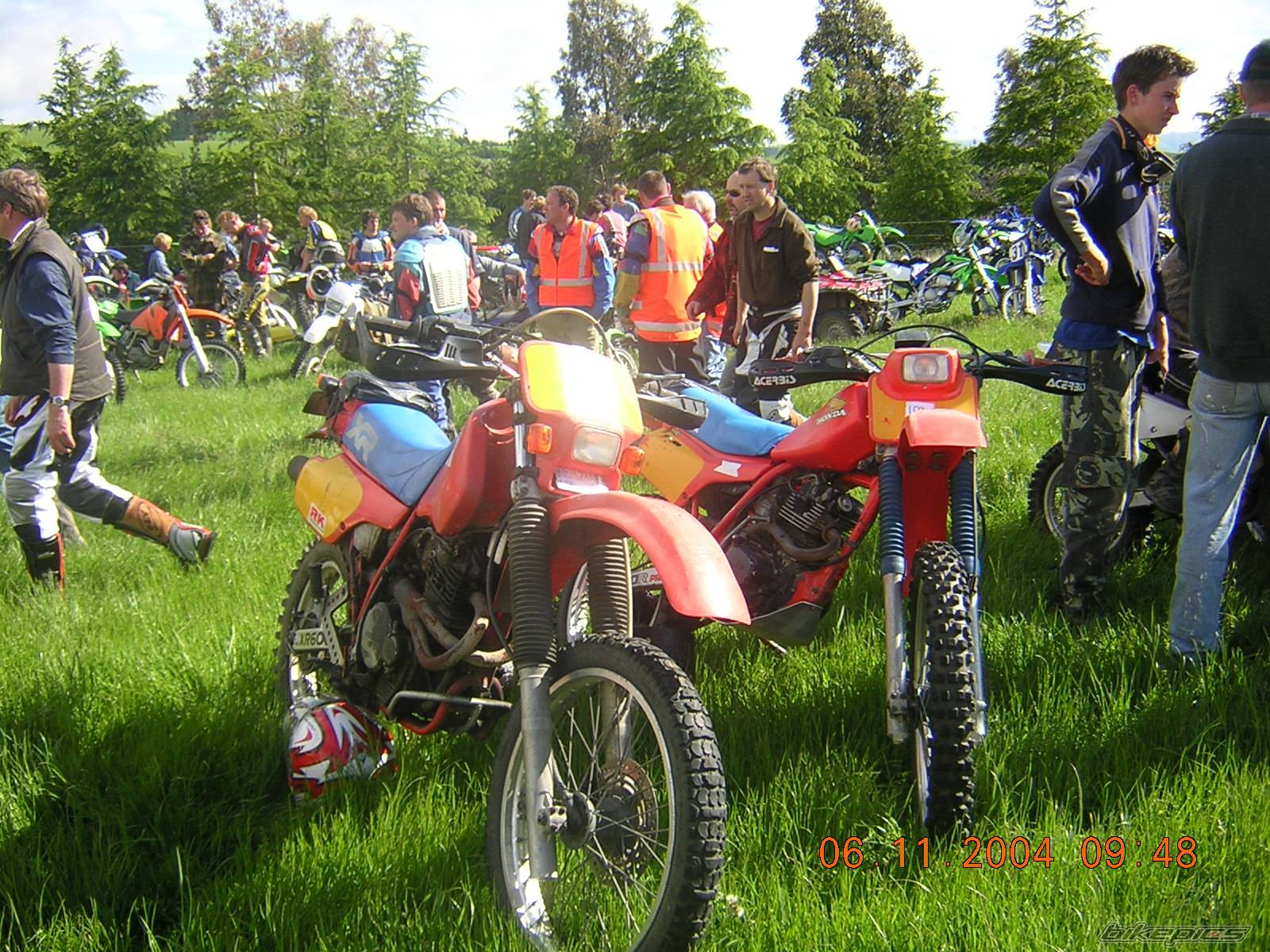 Photo 261979
