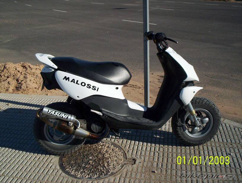 Photo 261981
