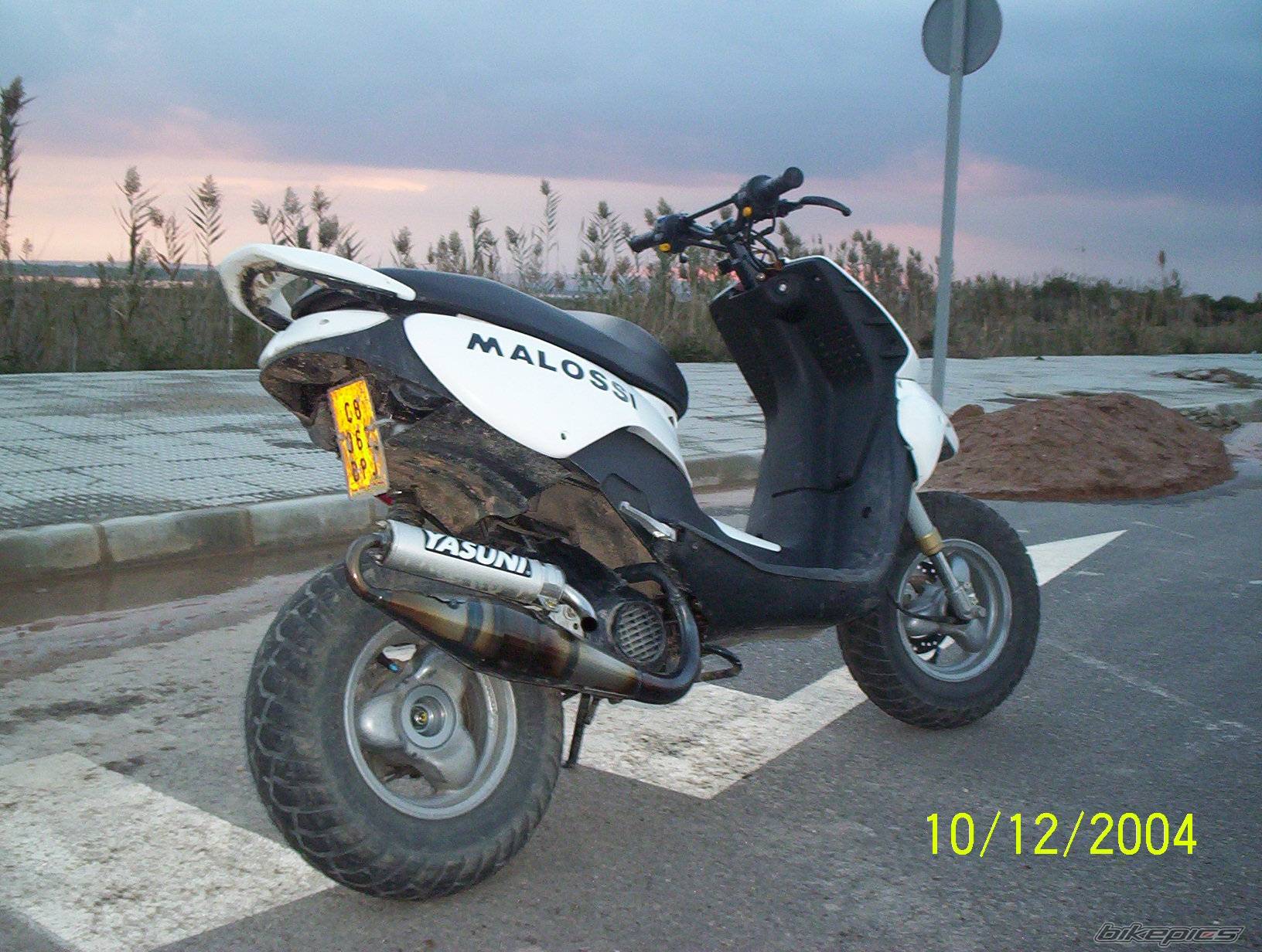 Photo 261983