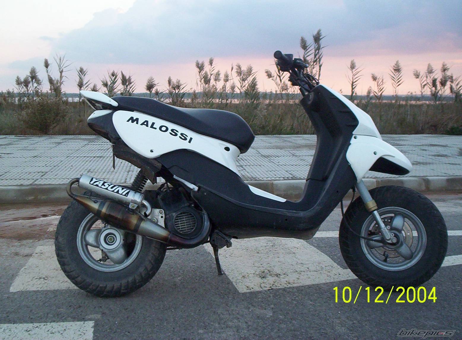 Photo 261984