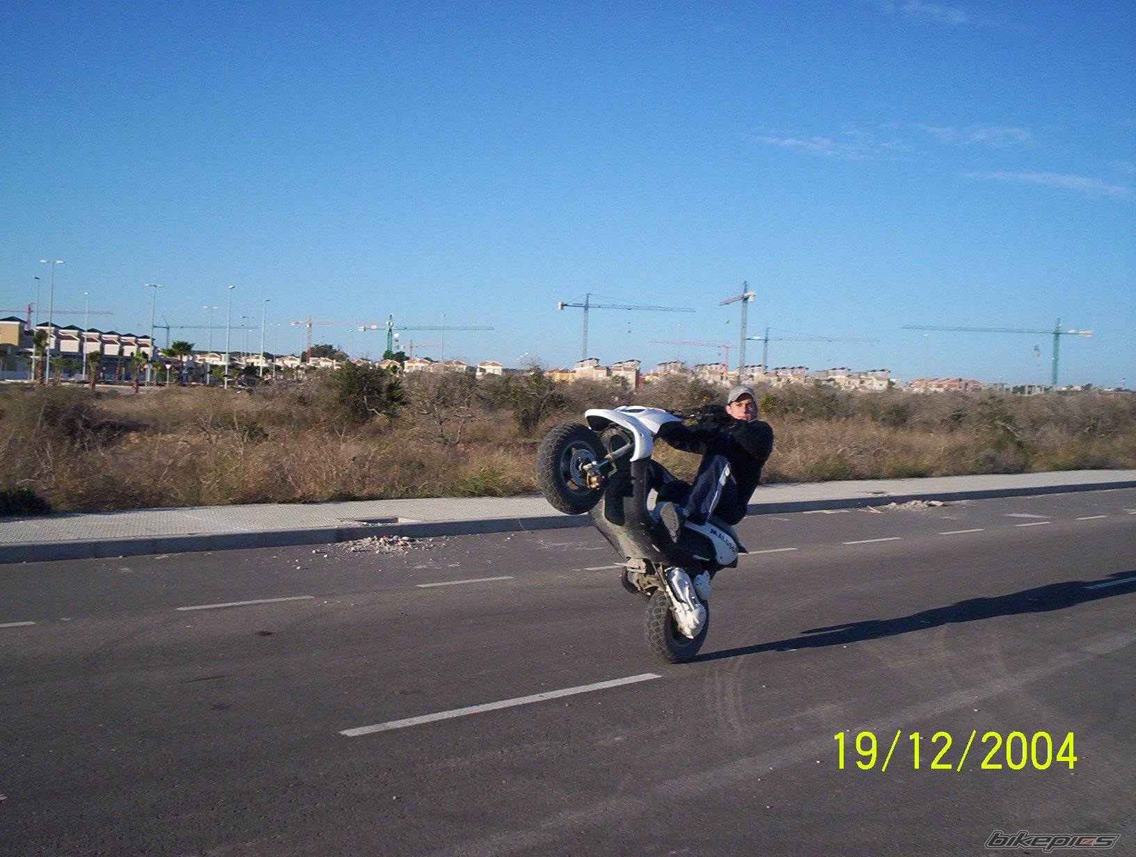 Photo 261989