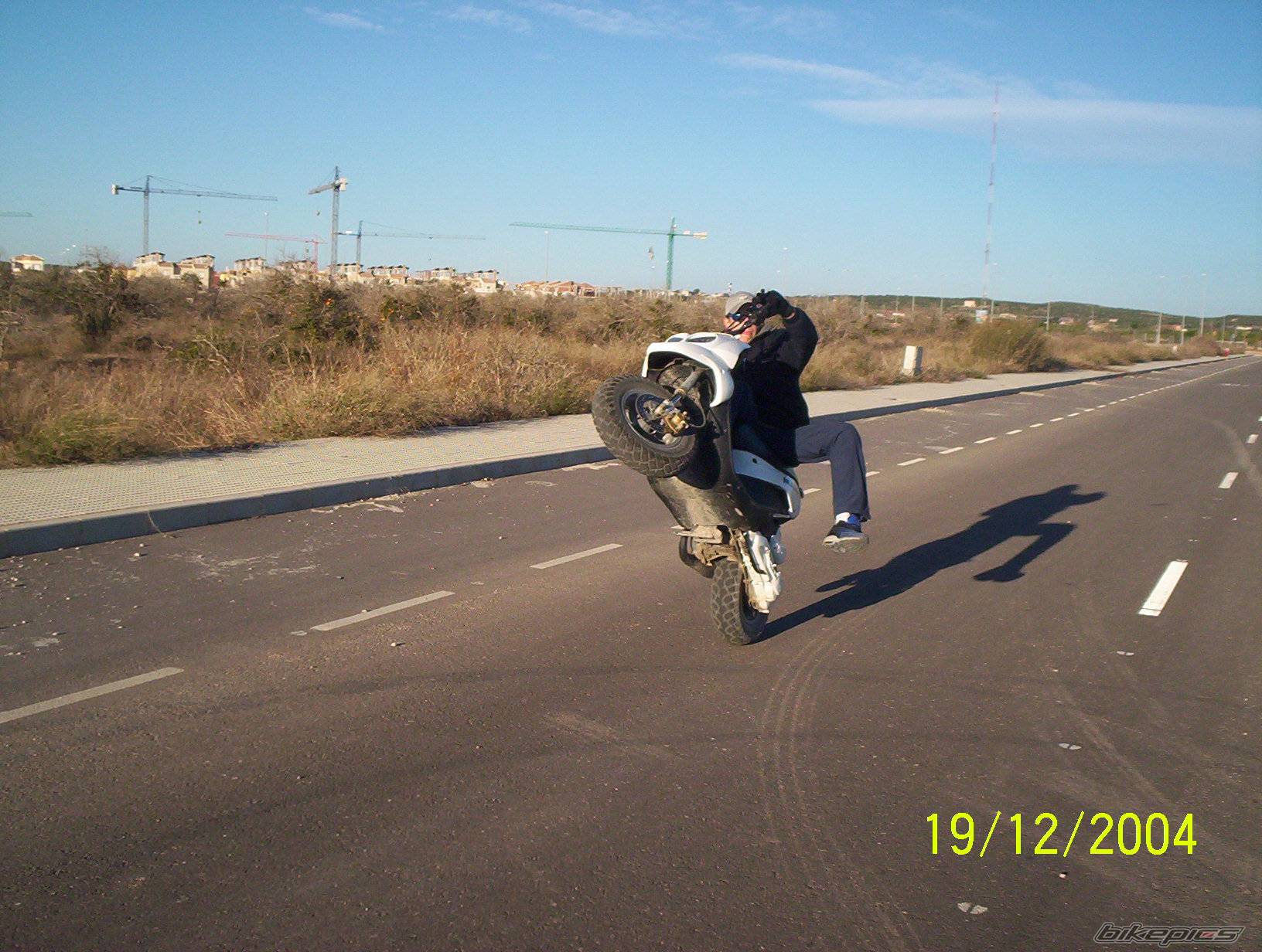 Photo 261990