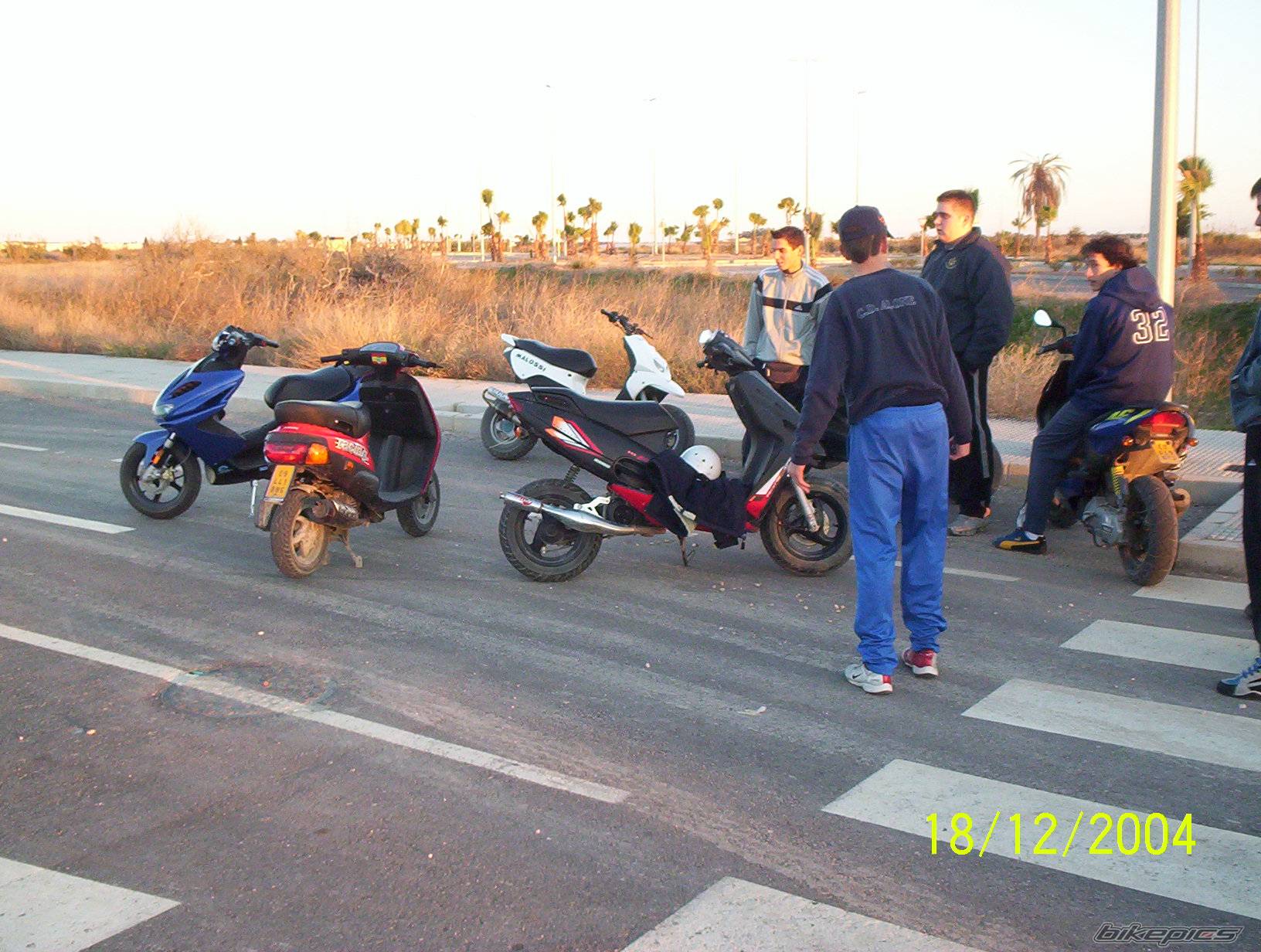 Photo 261992