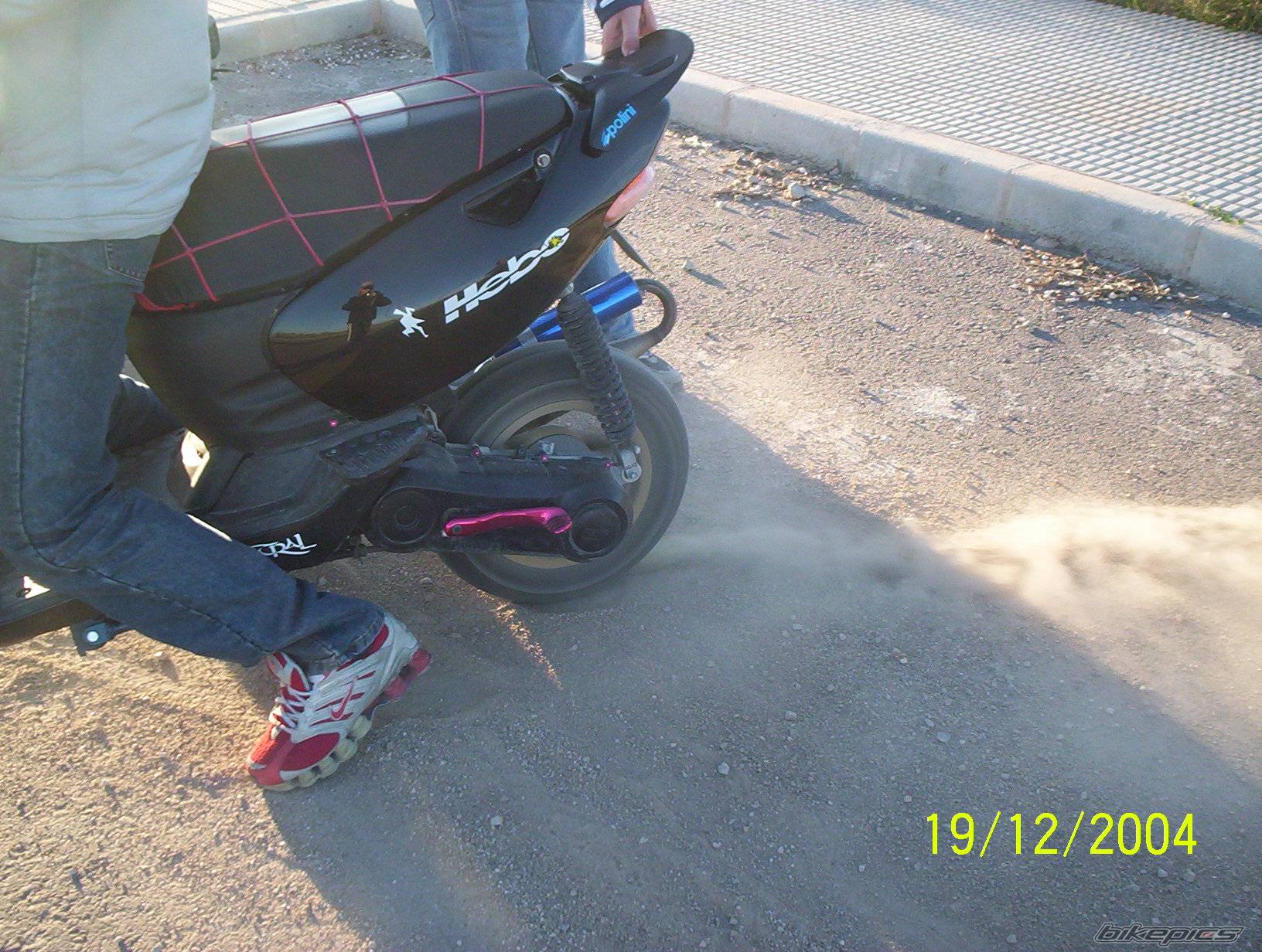 Photo 261995