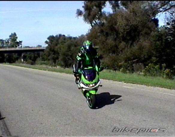 Photo 262