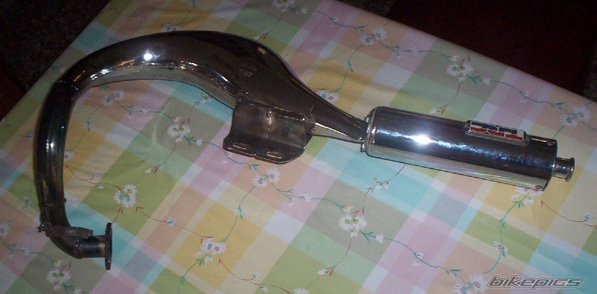 Photo 262005